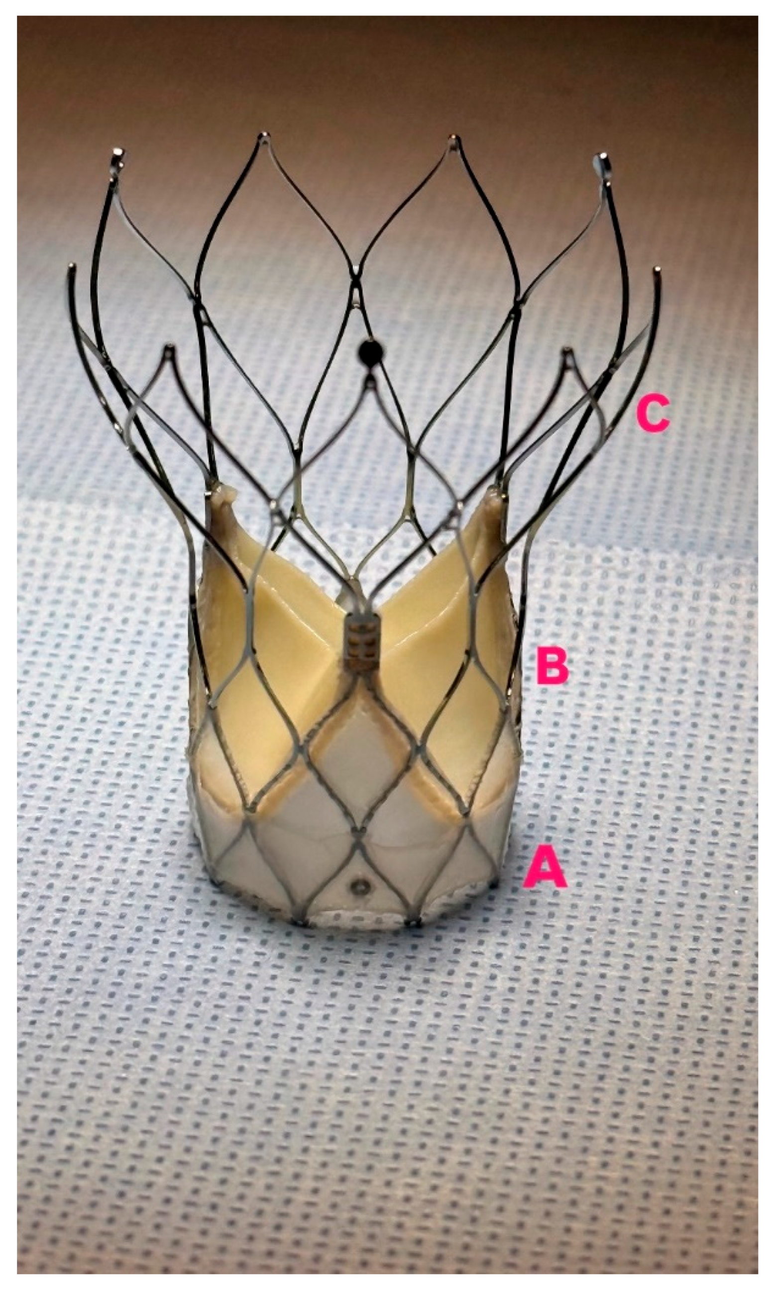 Jcm 14 05890 g001 Jcm 14 05890 g001