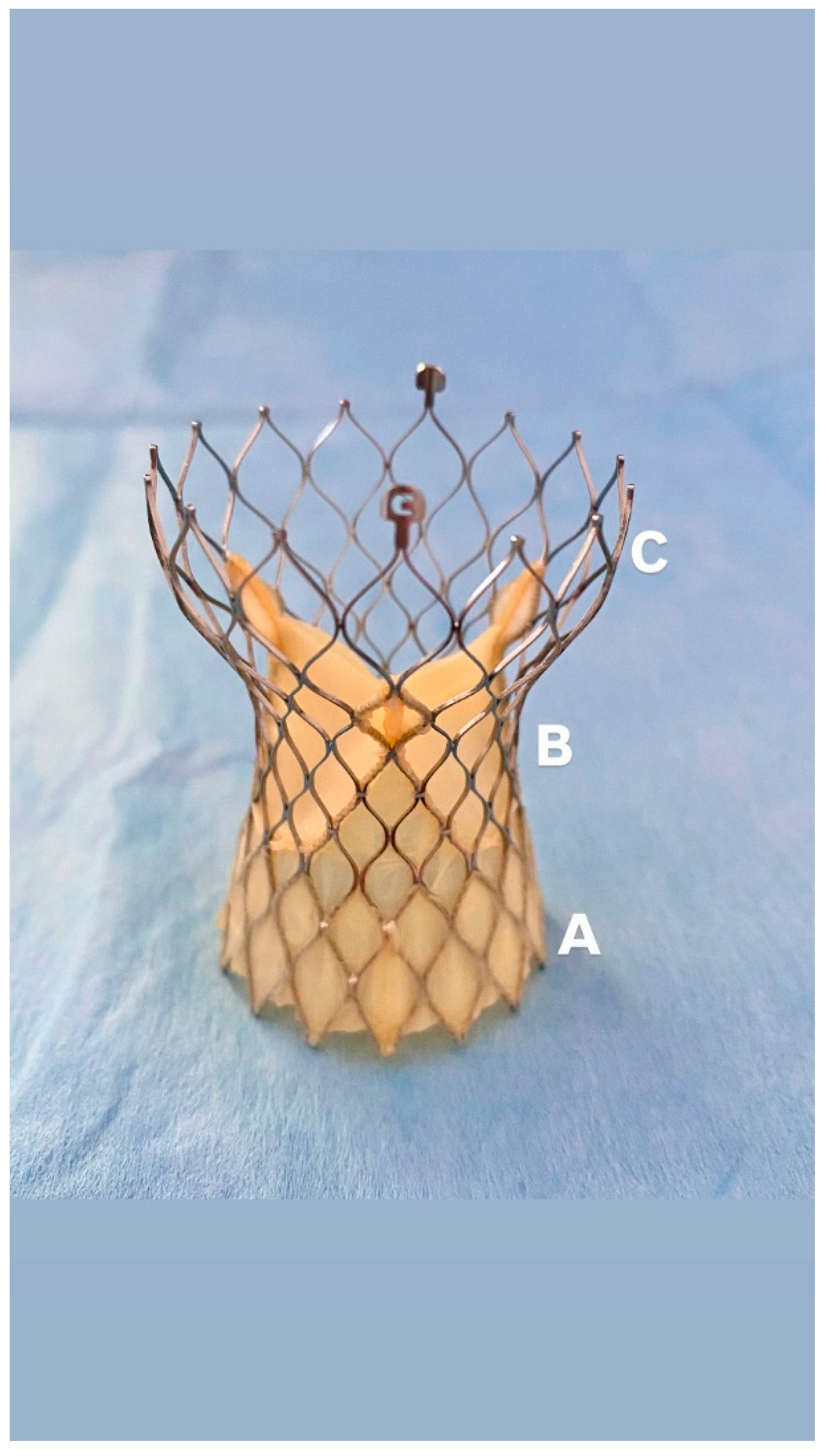 Jcm 14 05890 g002 Jcm 14 05890 g002