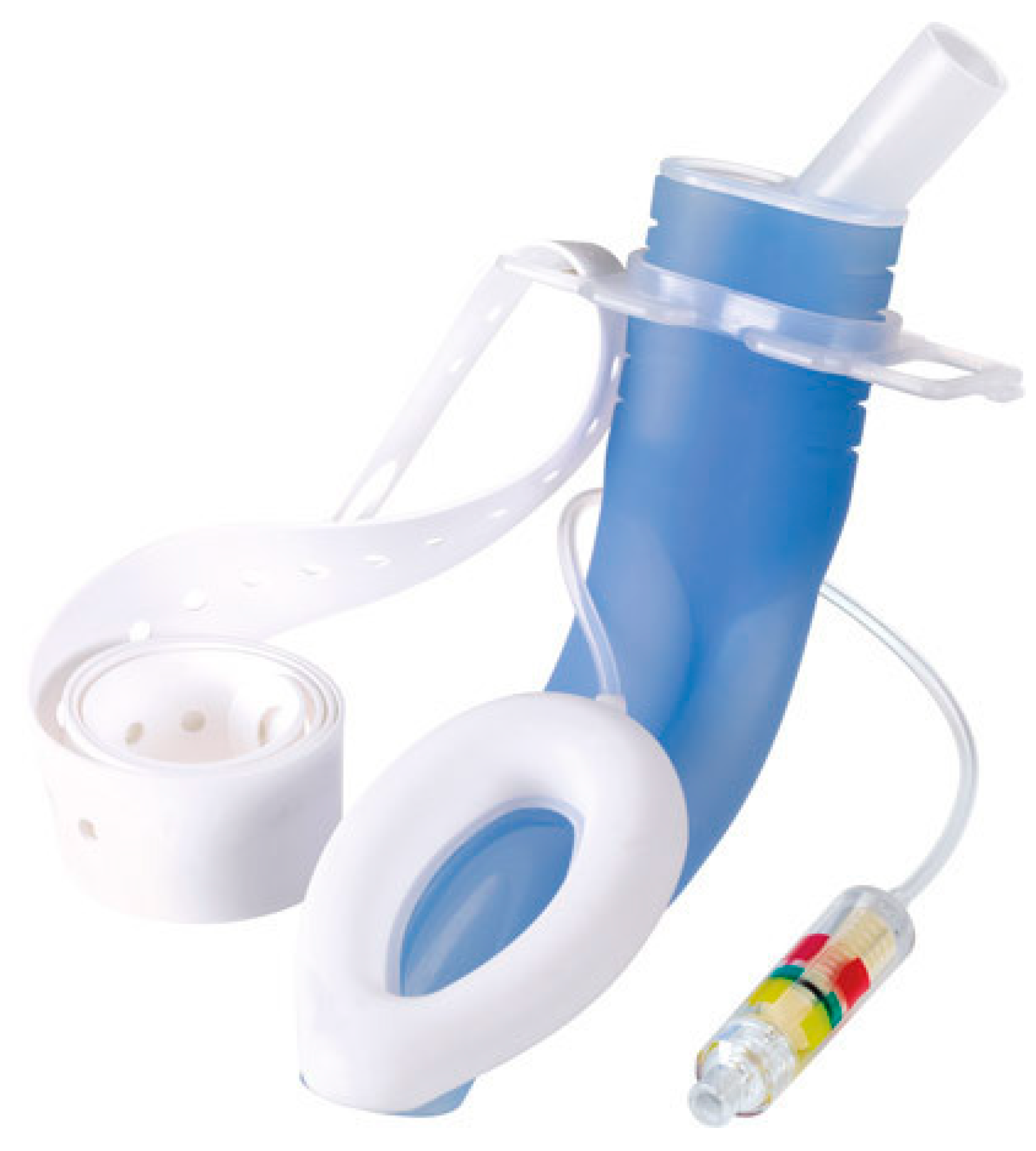 Jcm 14 05905 g002 Jcm 14 05905 g002