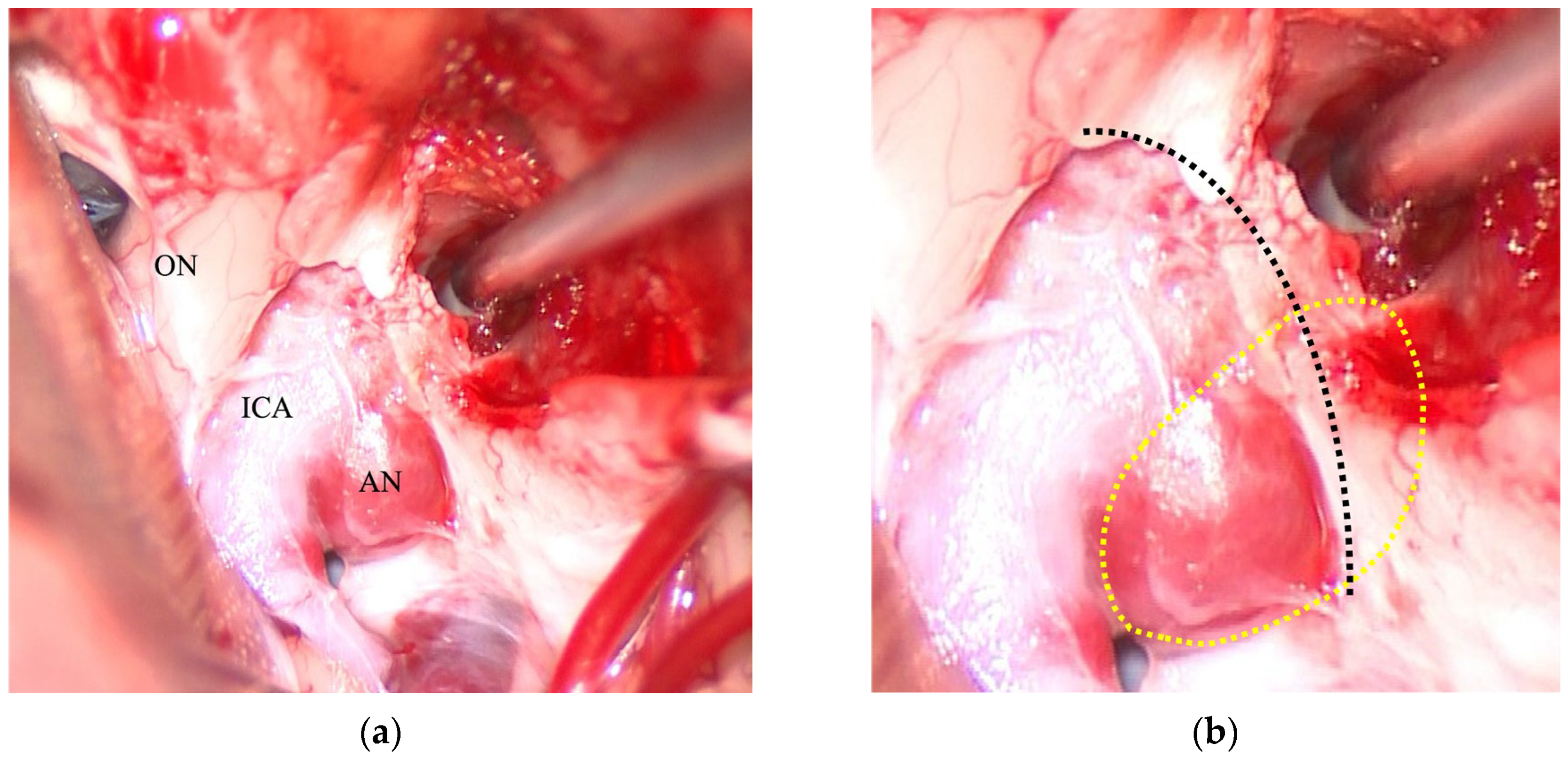 Jcm 14 05951 g003 Jcm 14 05951 g003