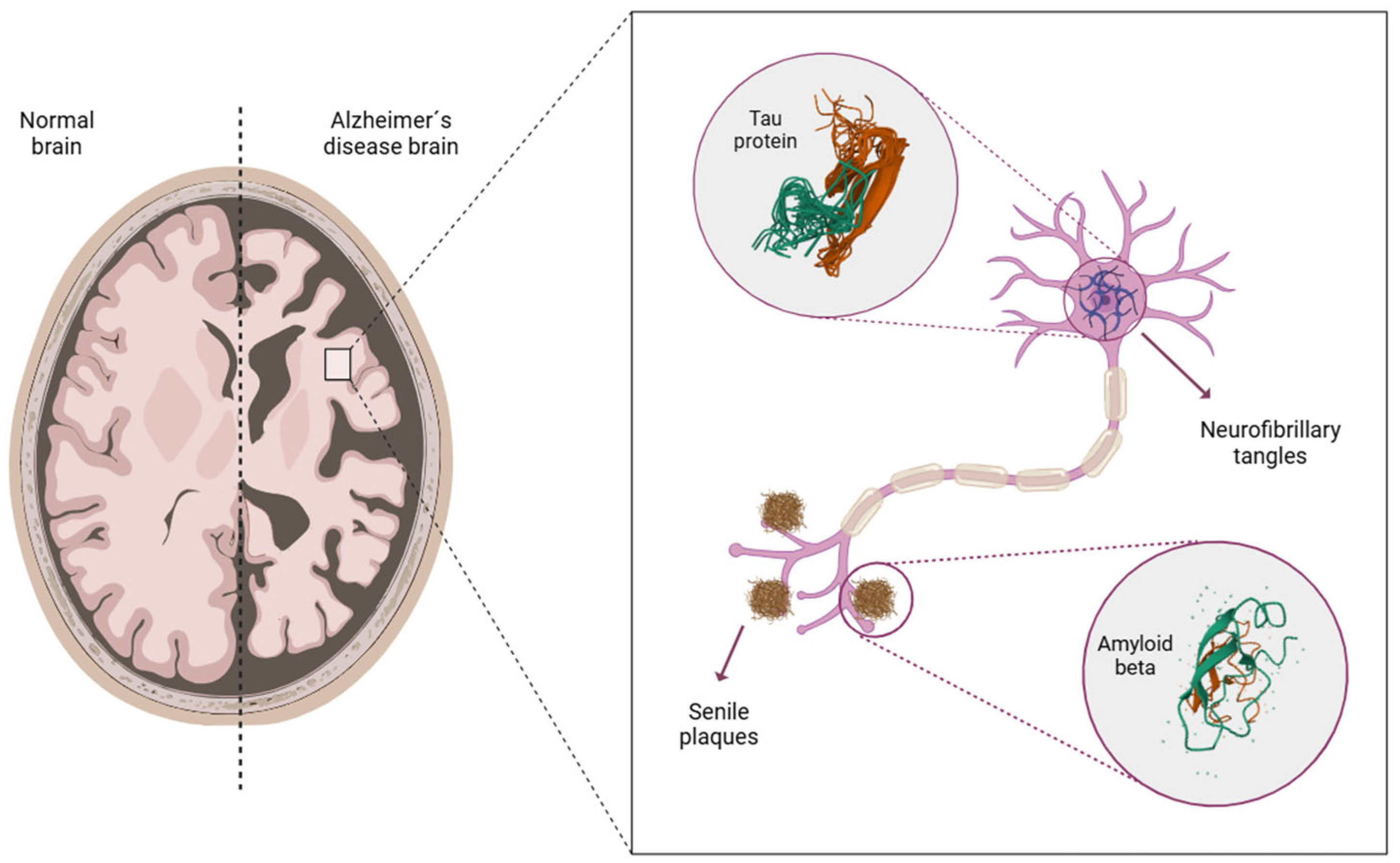 Jcm 14 05963 g001 Jcm 14 05963 g001