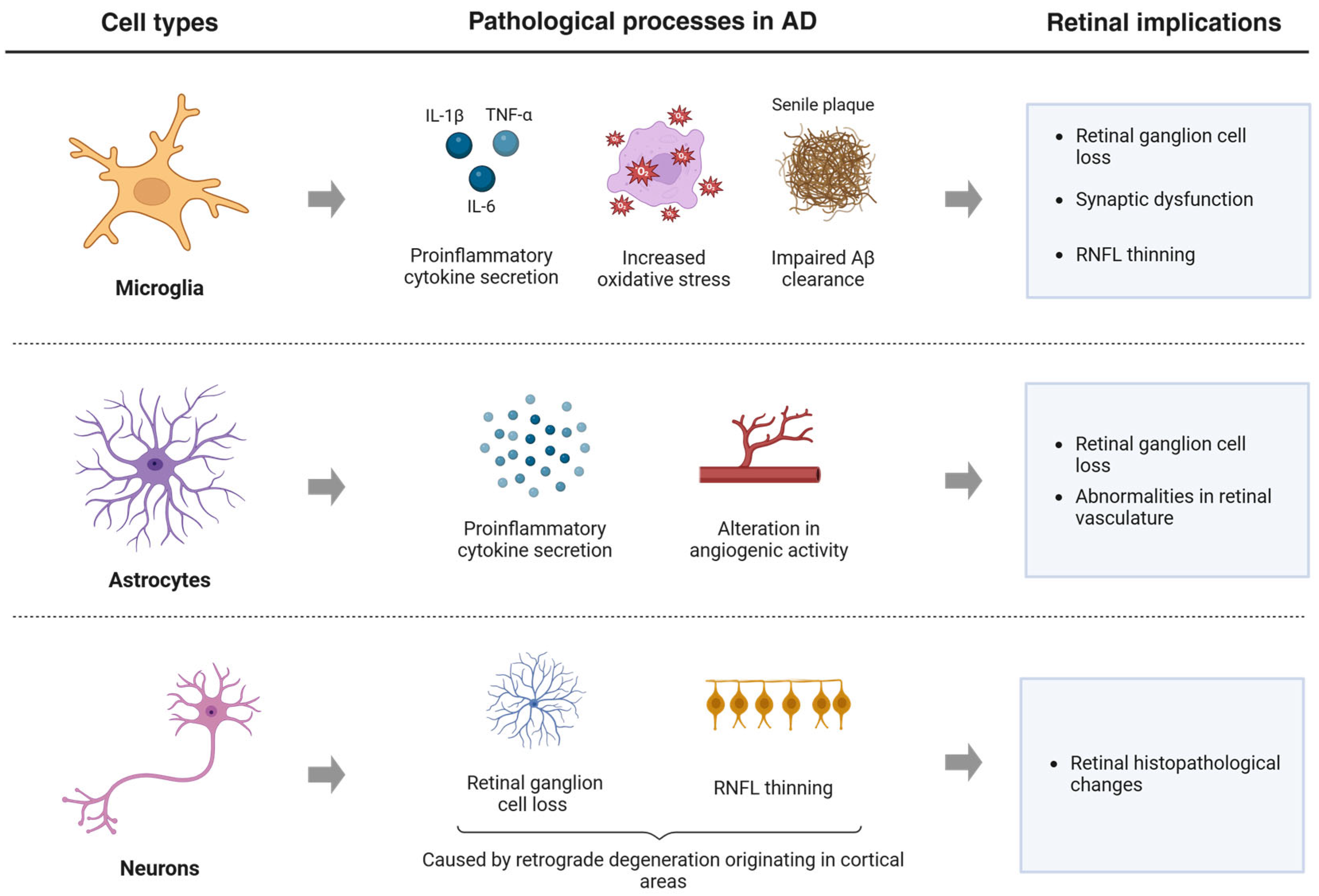 Jcm 14 05963 g003 Jcm 14 05963 g003