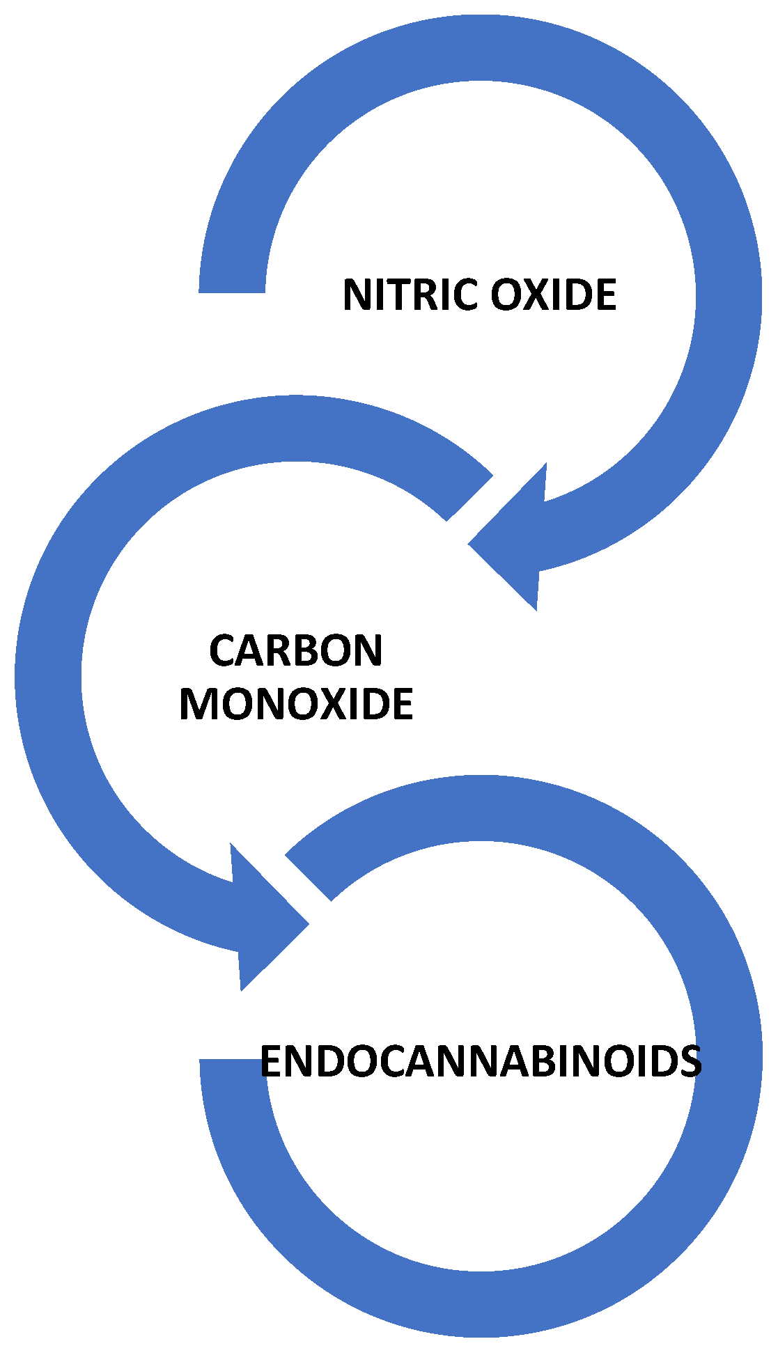 Jcm 14 05993 g002 Jcm 14 05993 g002