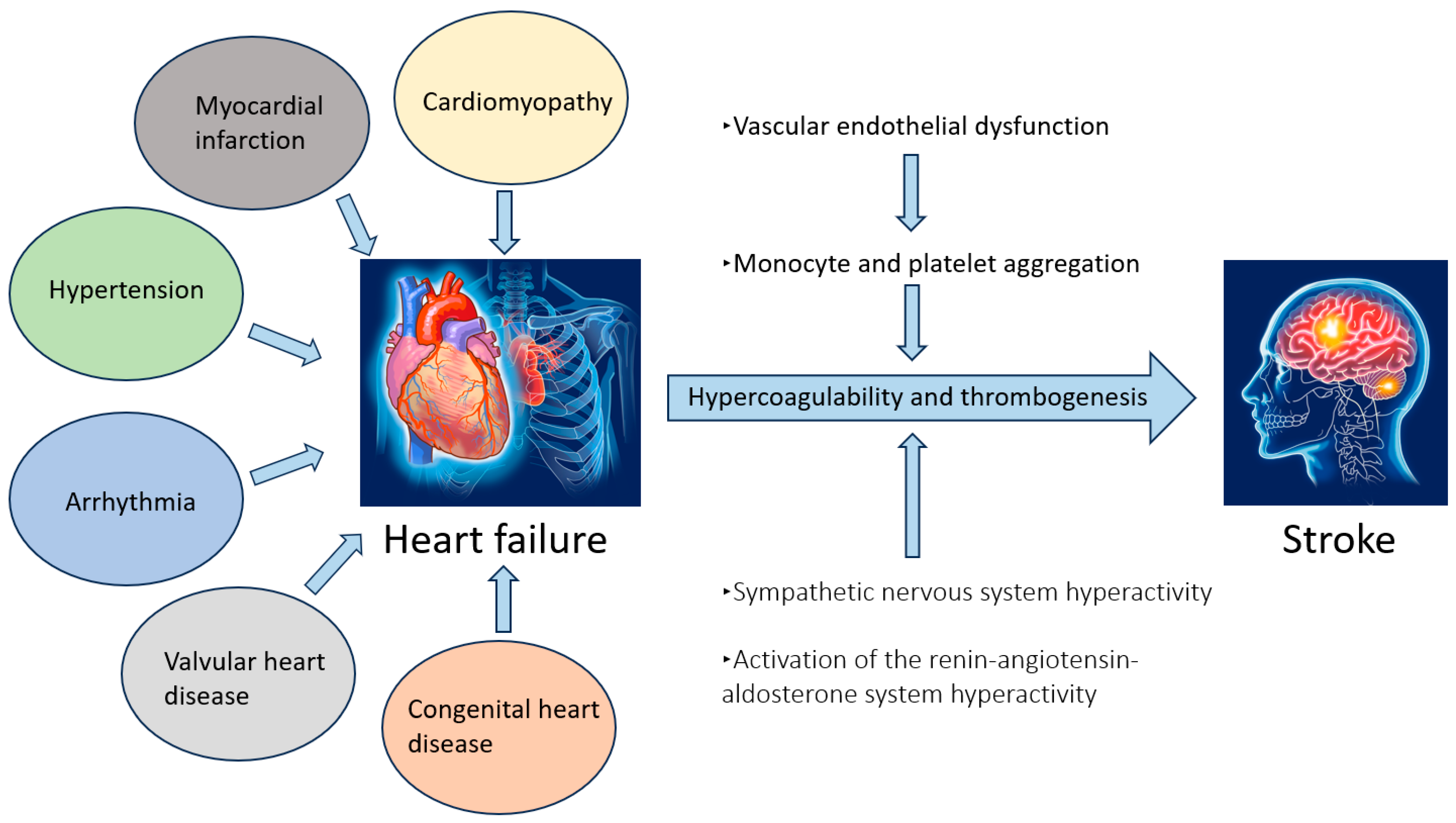 Jcm 14 06044 g001 Jcm 14 06044 g001