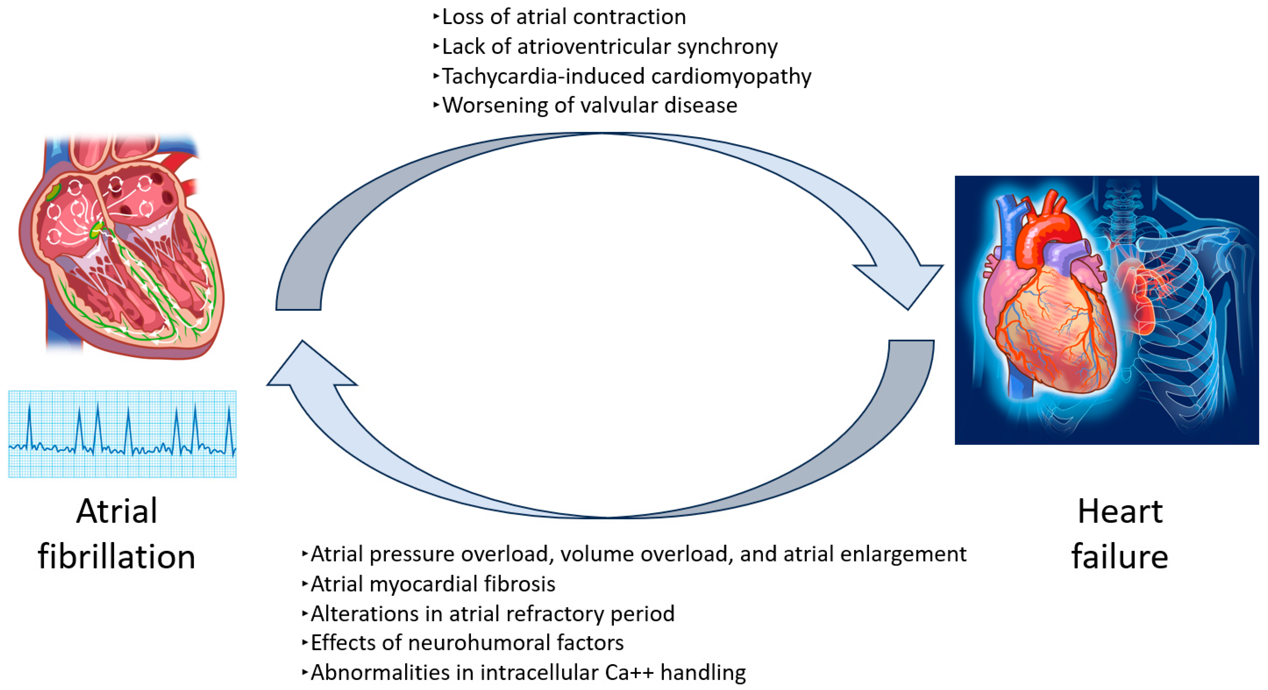 Jcm 14 06044 g002 Jcm 14 06044 g002