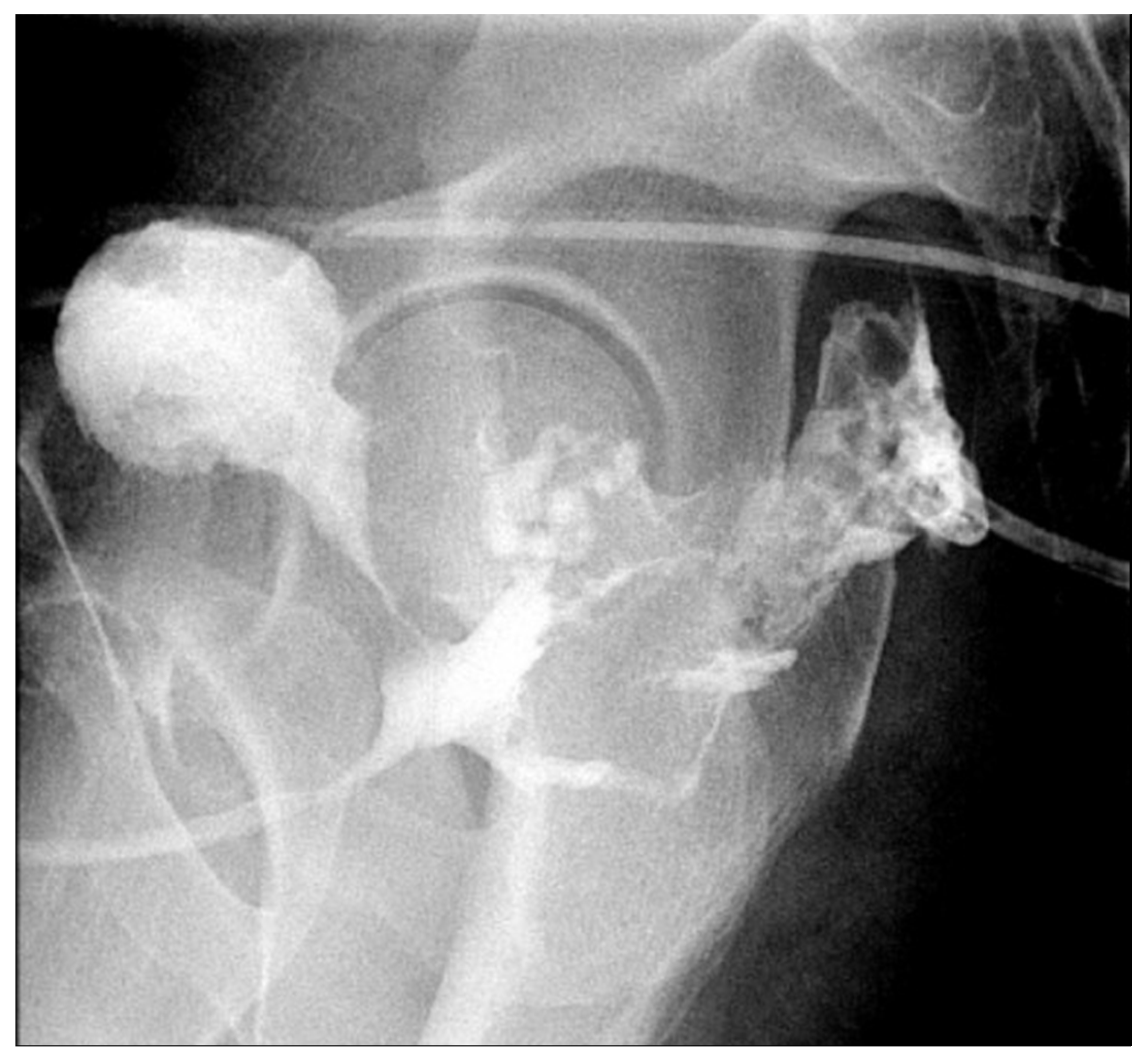 Jcm 14 06065 g009 Jcm 14 06065 g009