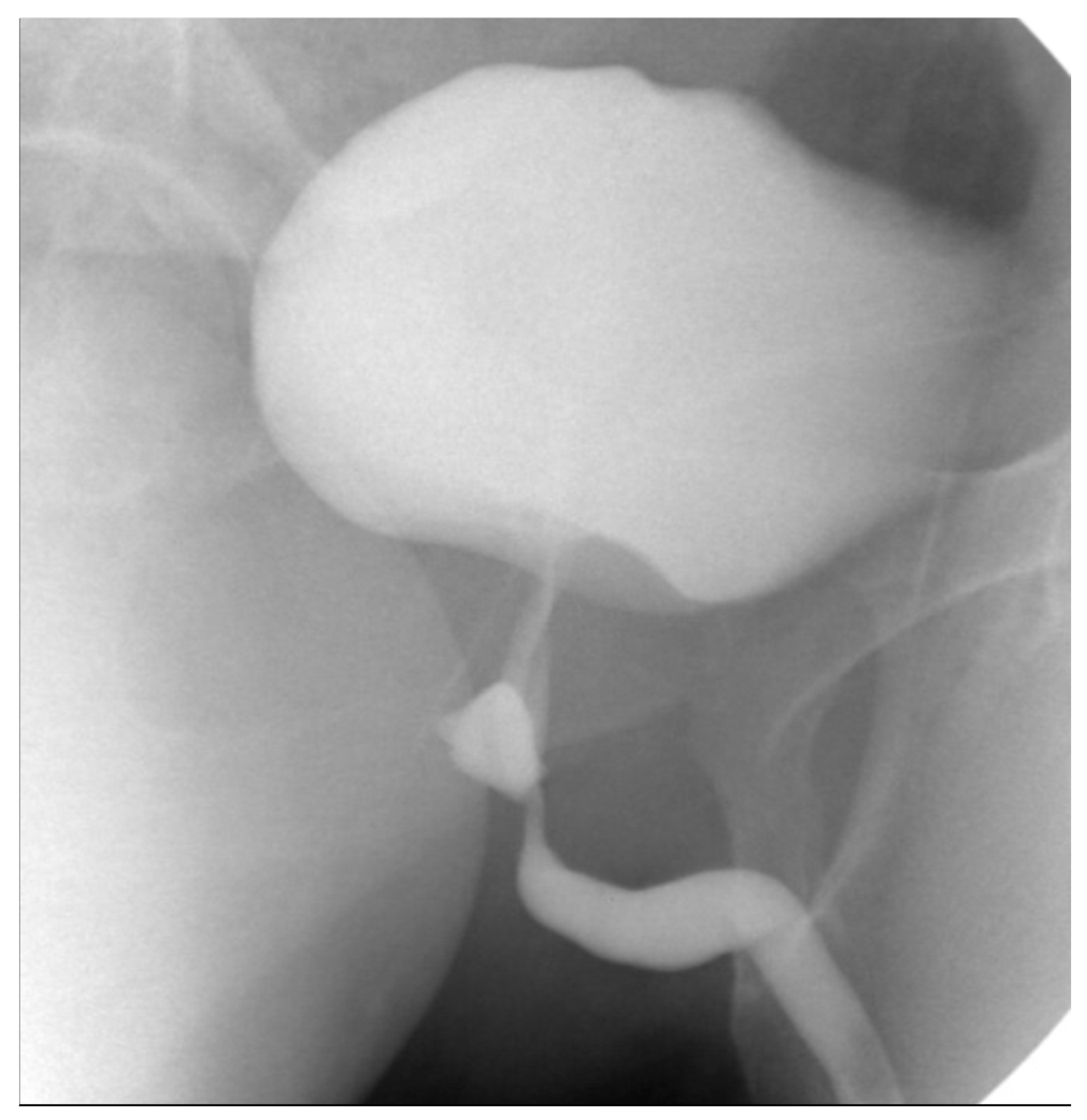 Jcm 14 06065 g010 Jcm 14 06065 g010