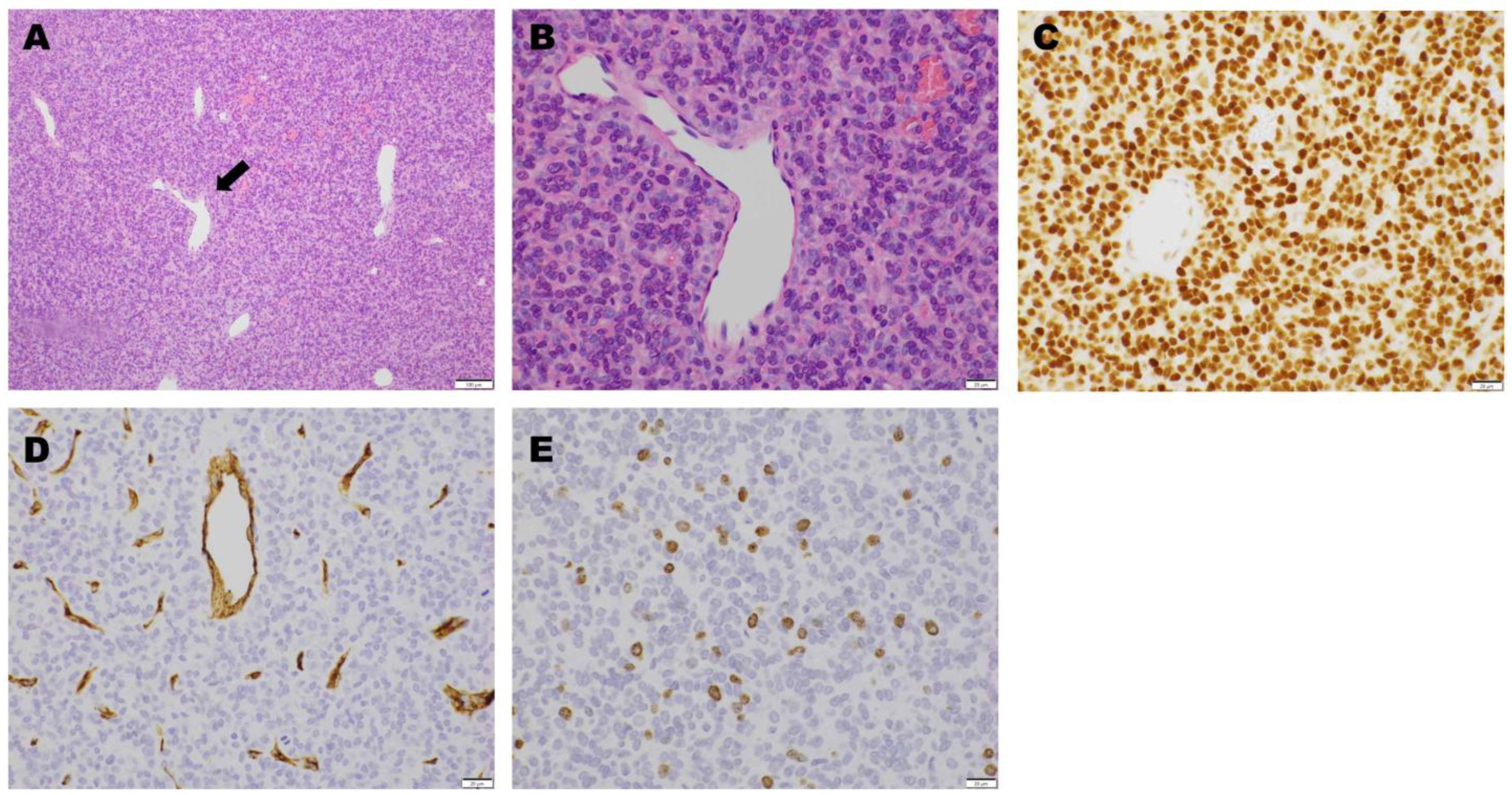 Jcm 14 06068 g007 Jcm 14 06068 g007
