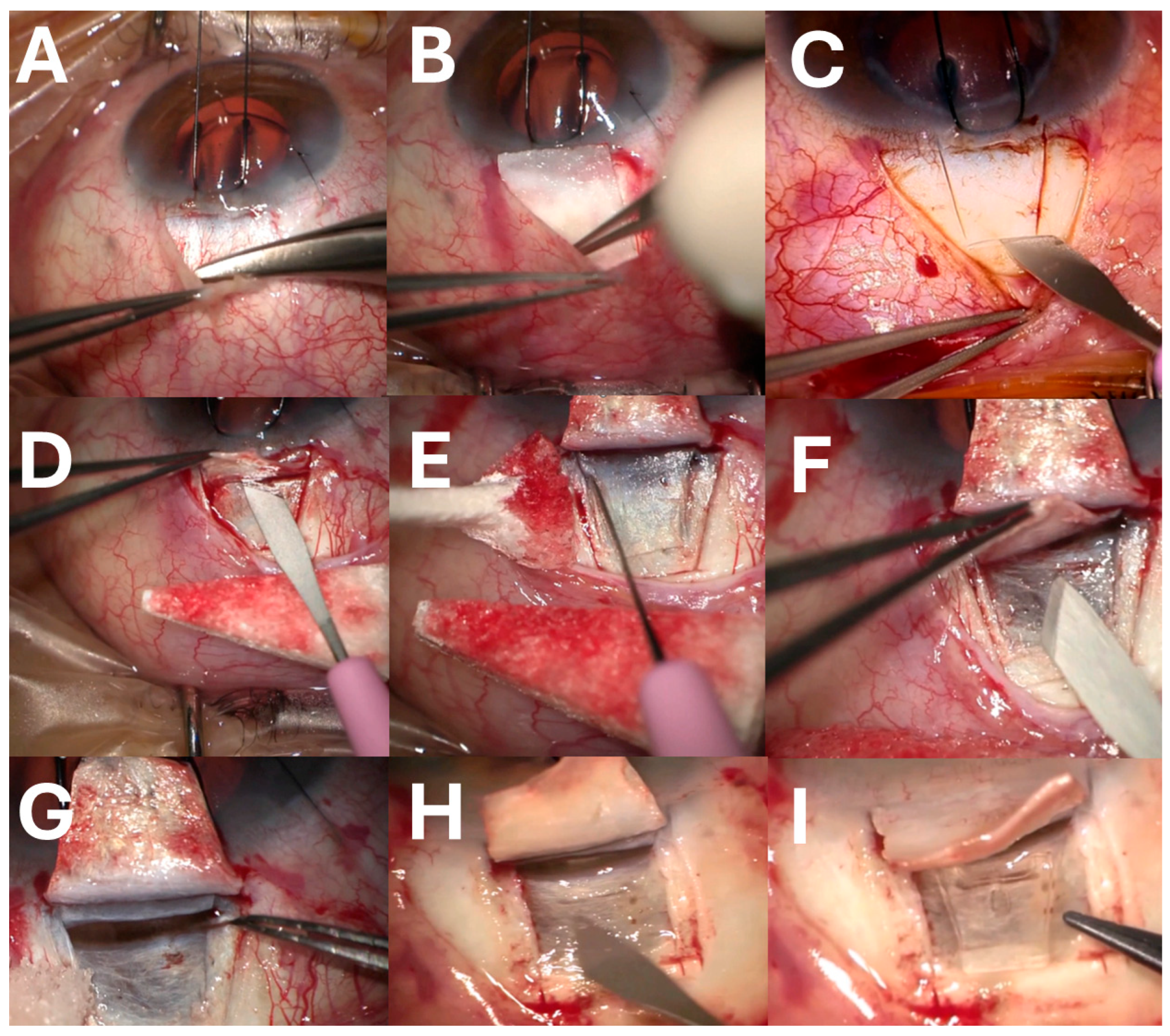 Jcm 14 06085 g001 Jcm 14 06085 g001