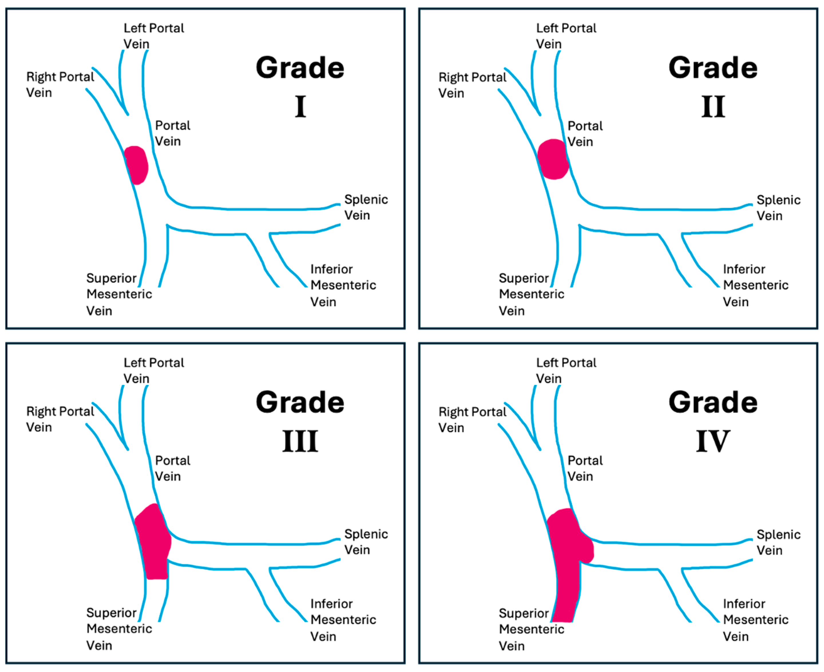 Jcm 14 06100 g001 Jcm 14 06100 g001