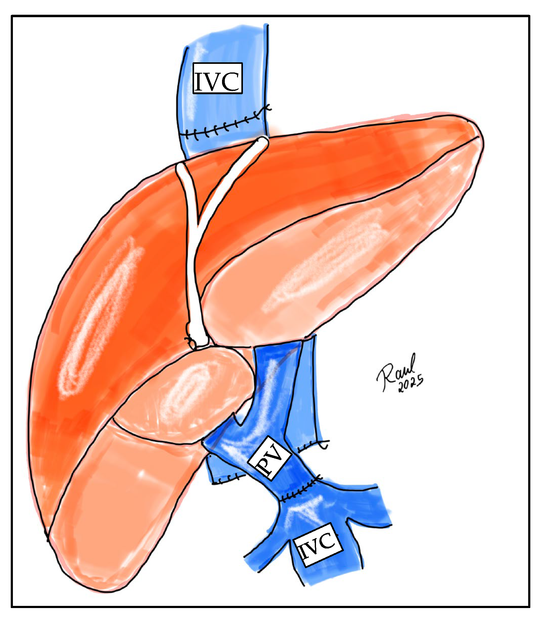 Jcm 14 06100 g002 Jcm 14 06100 g002