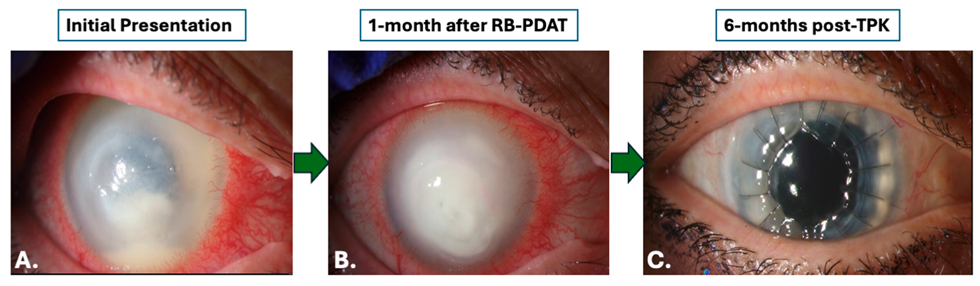 Jcm 14 06104 g002 Jcm 14 06104 g002