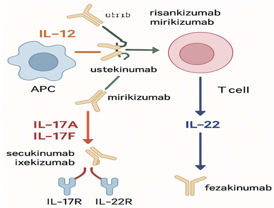 Emerging Therapies in Inflammatory Bowel Disease: A Comprehensive Review
