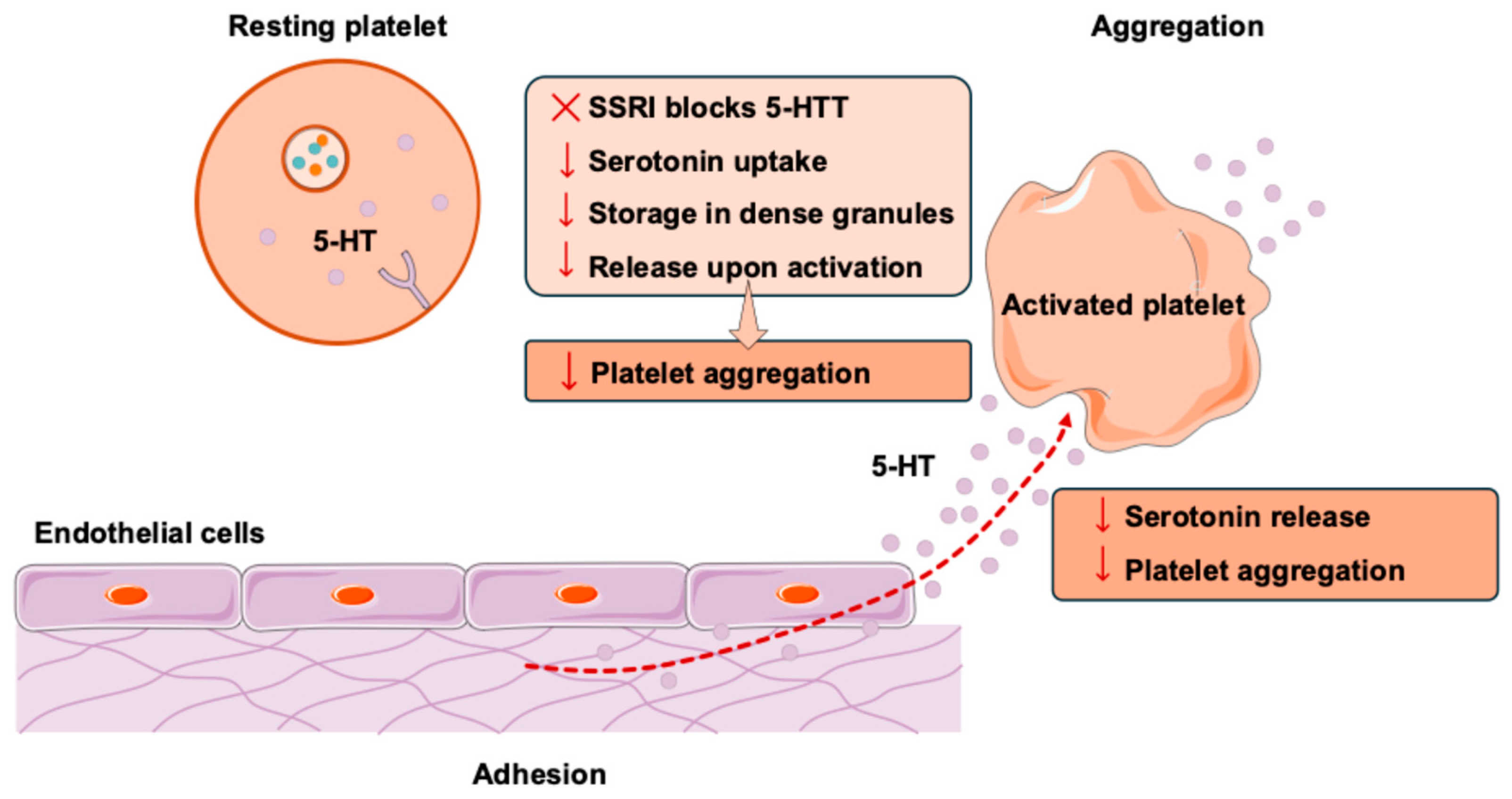 Jcm 14 06140 g001 Jcm 14 06140 g001