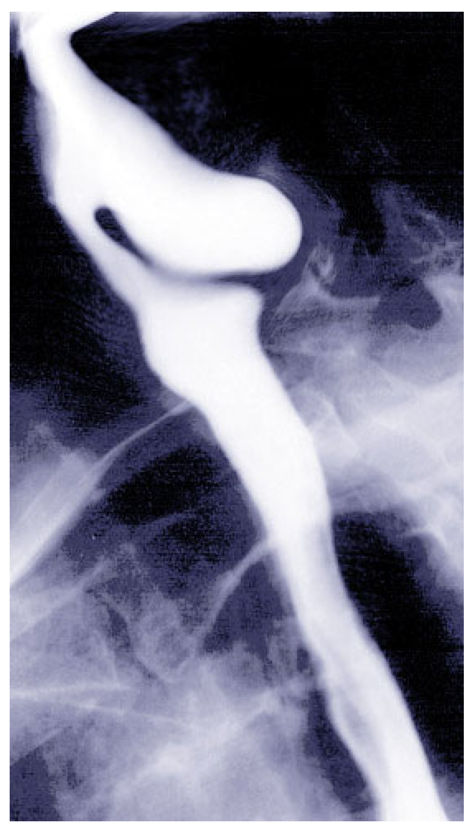 Jcm 14 06141 g001 Jcm 14 06141 g001