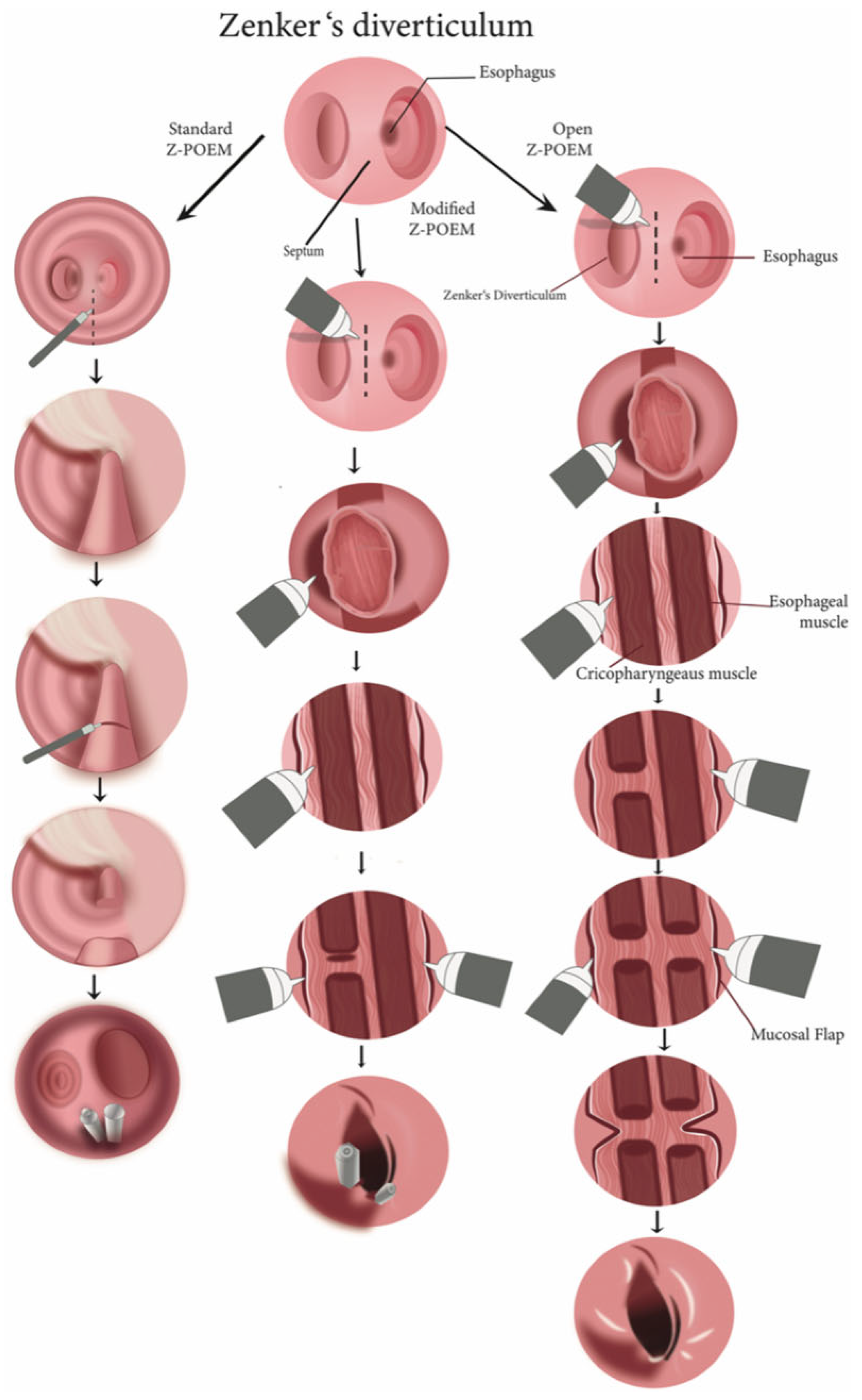 Jcm 14 06141 g003 Jcm 14 06141 g003