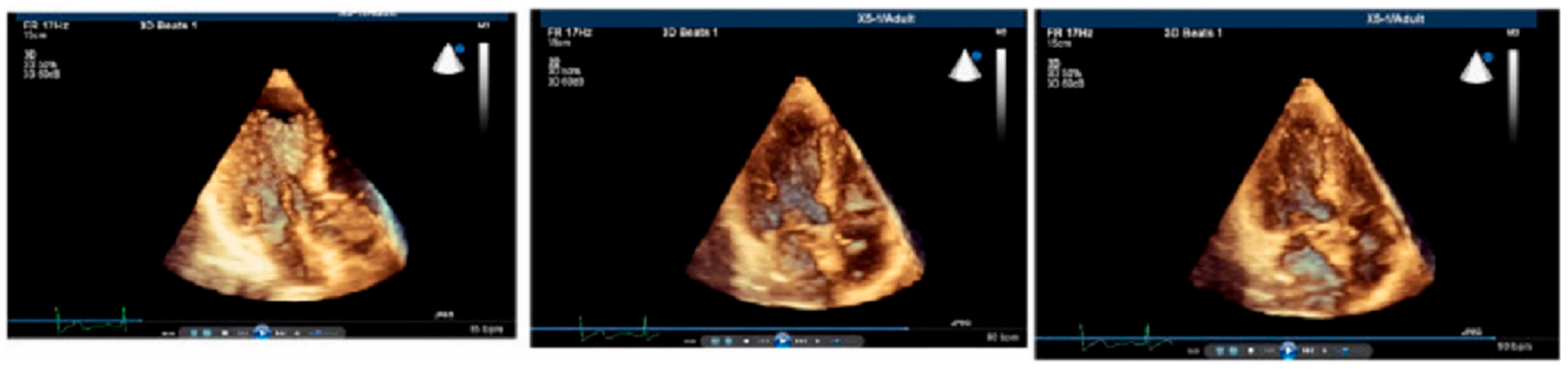 Jcm 14 06143 g003 Jcm 14 06143 g003