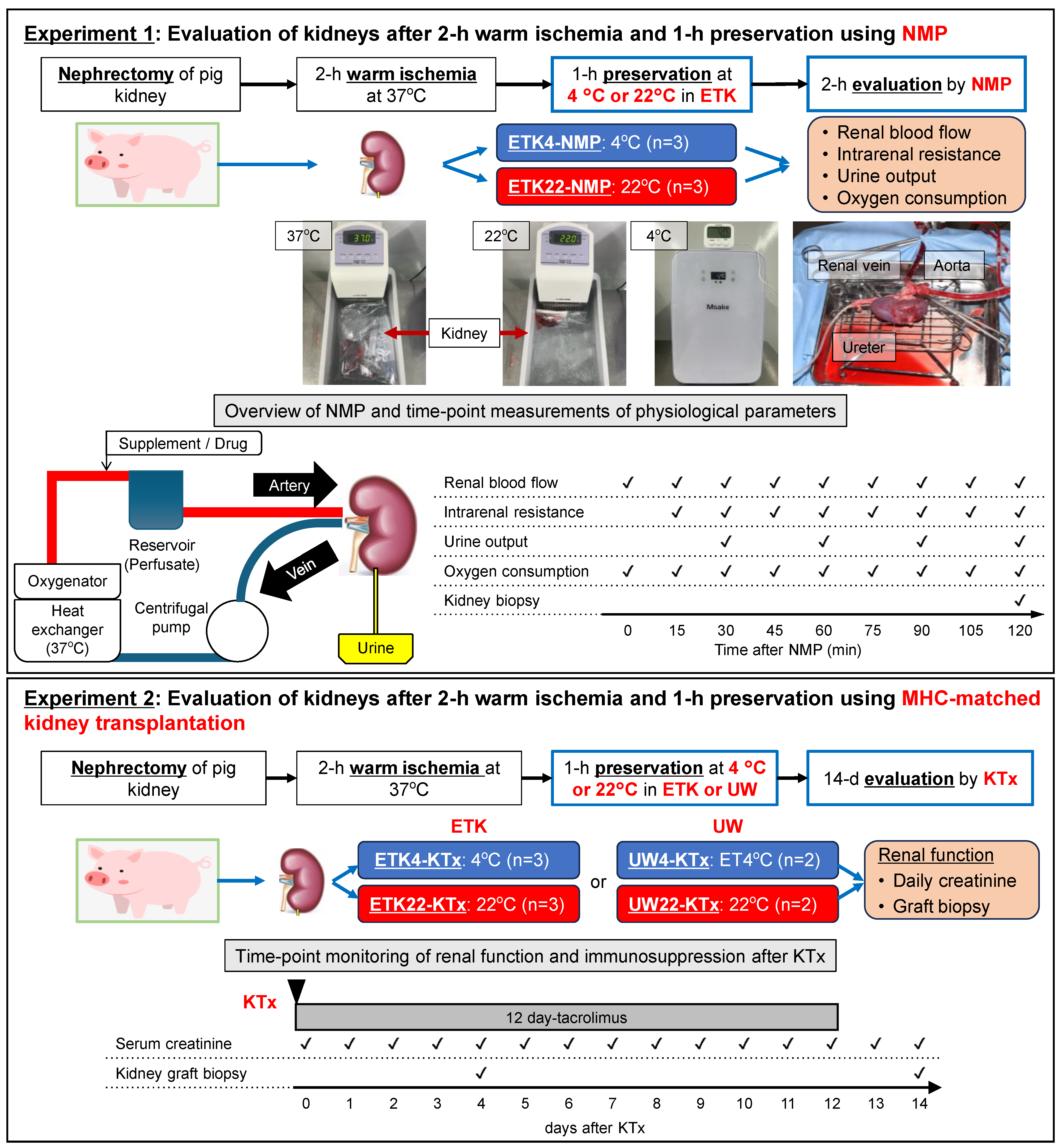 Jcm 14 06156 g001 Jcm 14 06156 g001