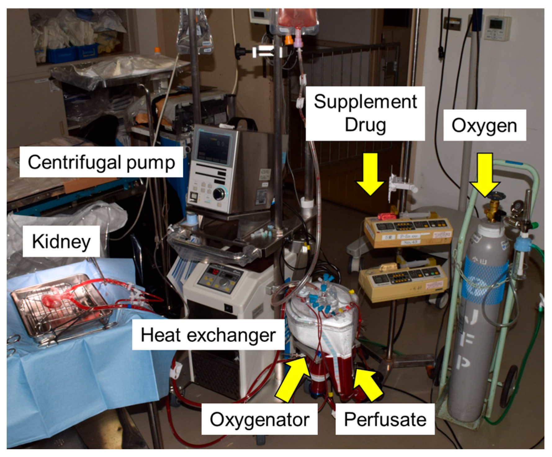 Jcm 14 06156 g002 Jcm 14 06156 g002