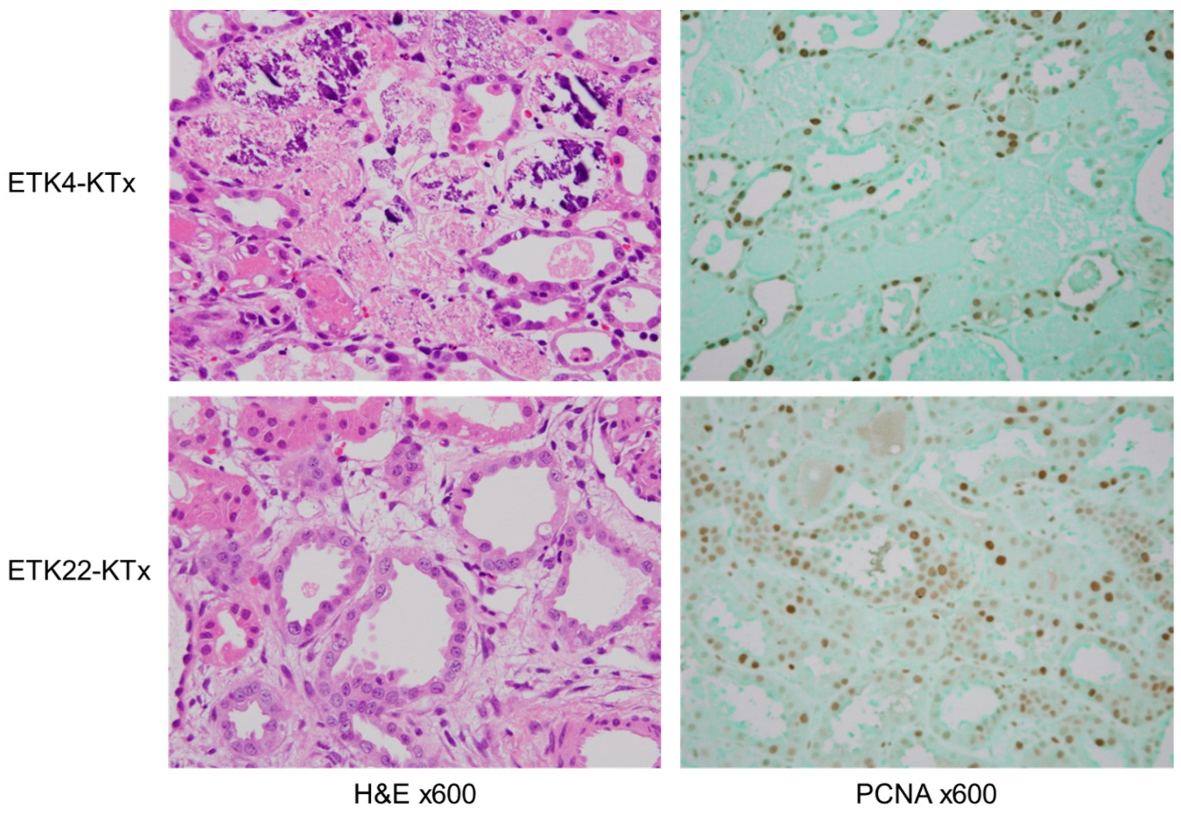 Jcm 14 06156 g007 Jcm 14 06156 g007