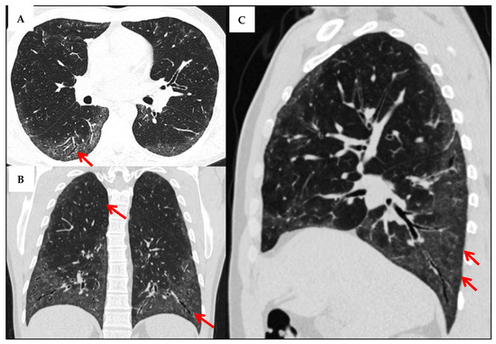 Man 公式写真2 🎂🥳