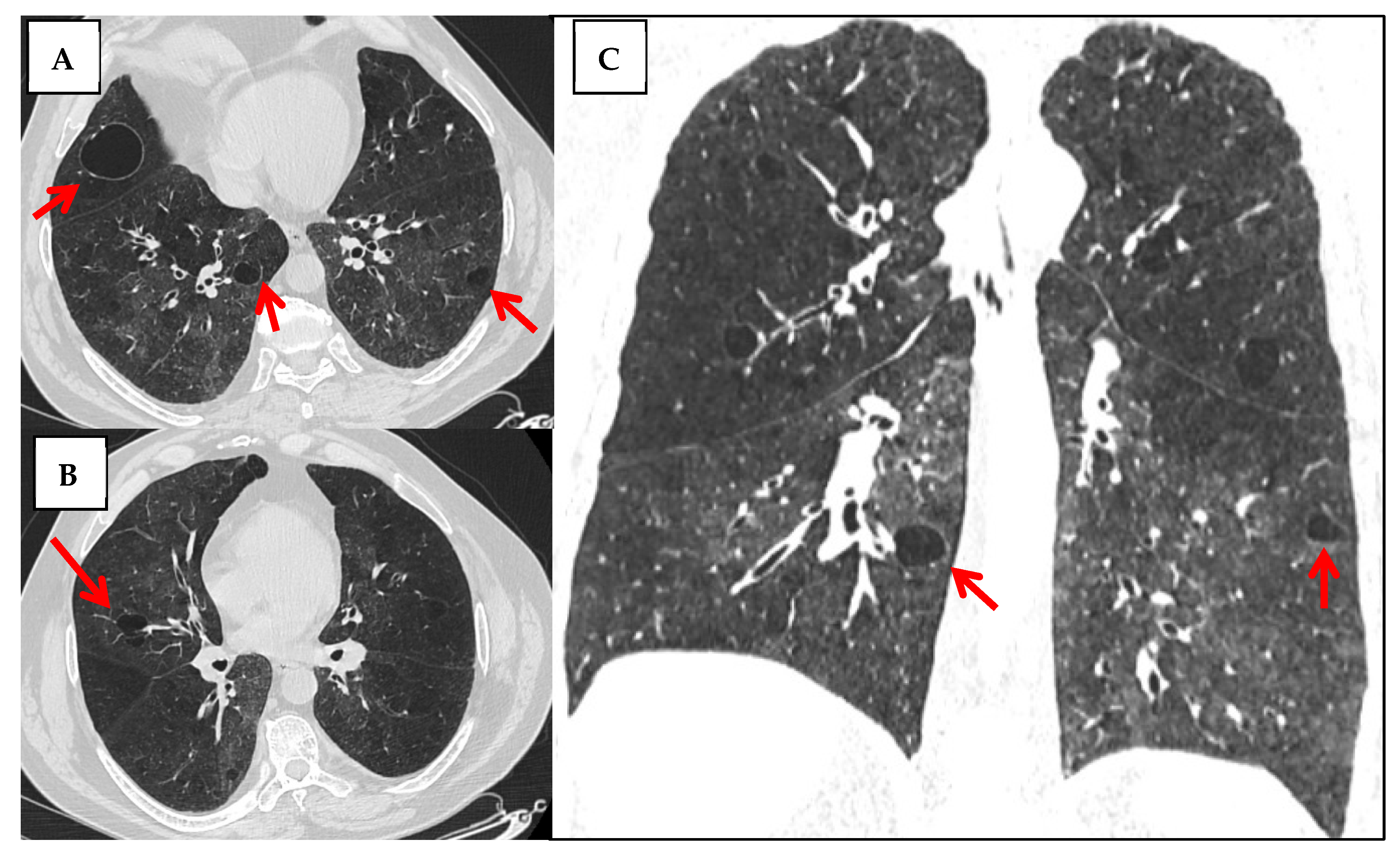 Jcm 14 06164 g010 Jcm 14 06164 g010