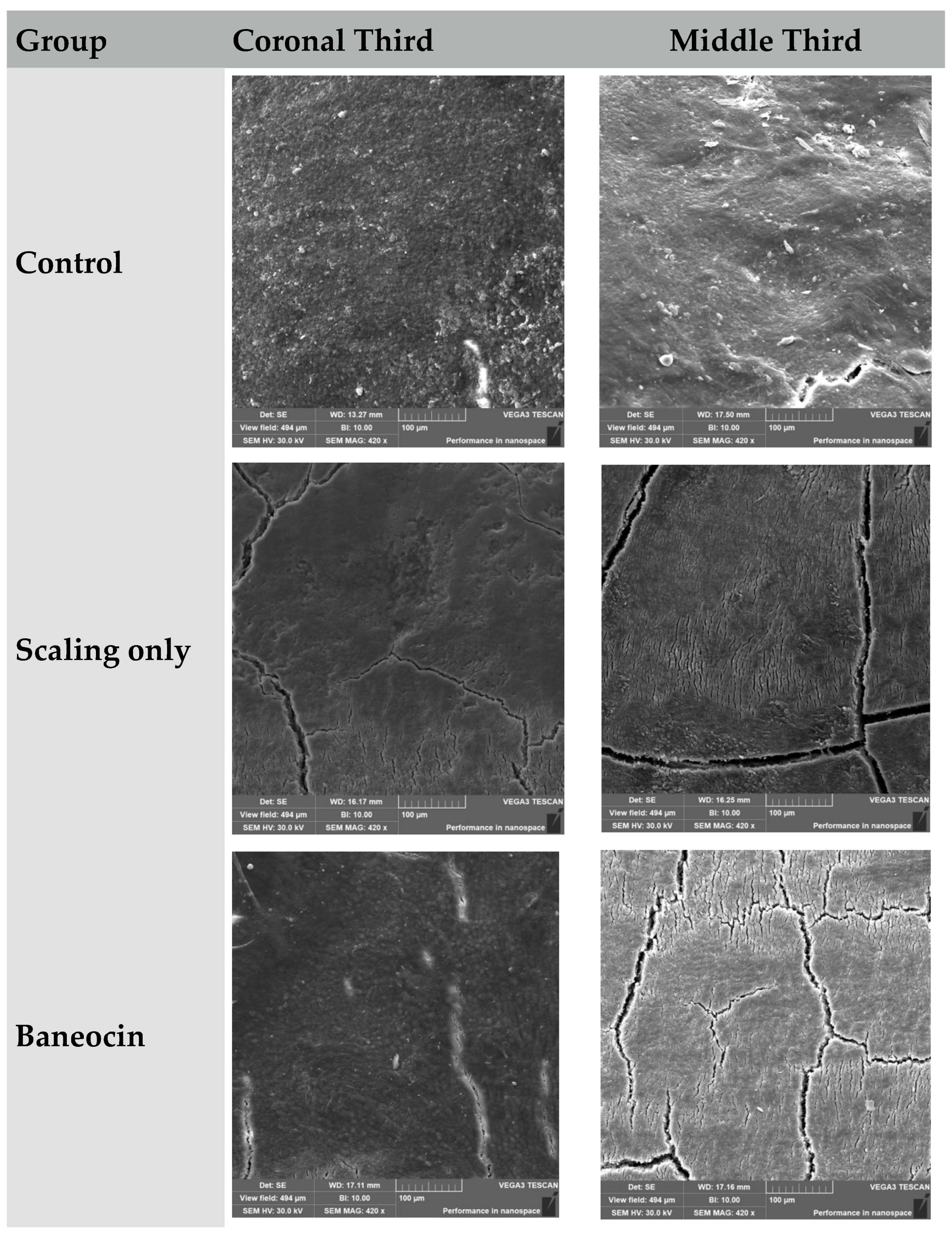 Jcm 14 06174 g001a Jcm 14 06174 g001a