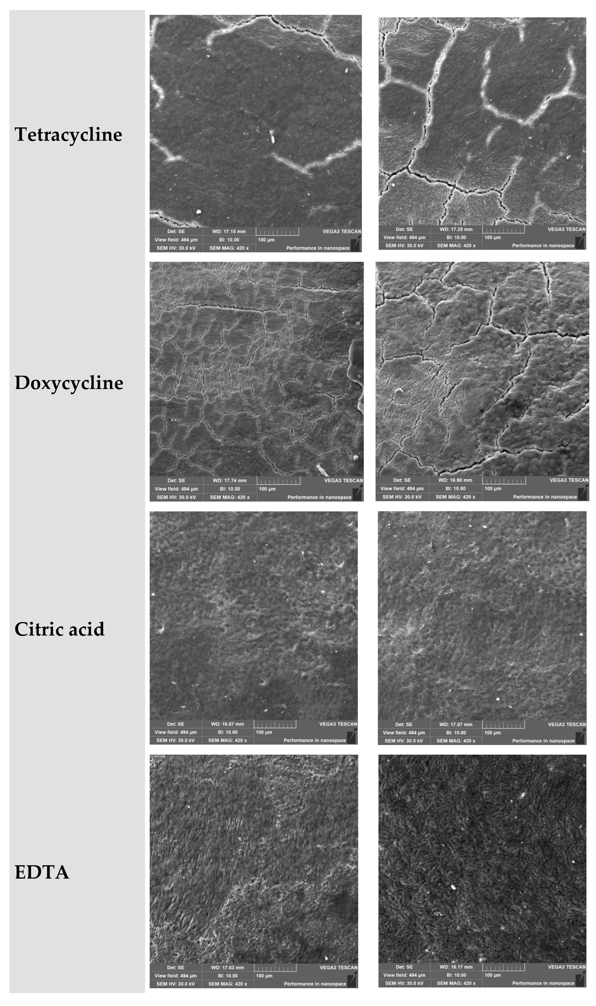 Jcm 14 06174 g001b Jcm 14 06174 g001b