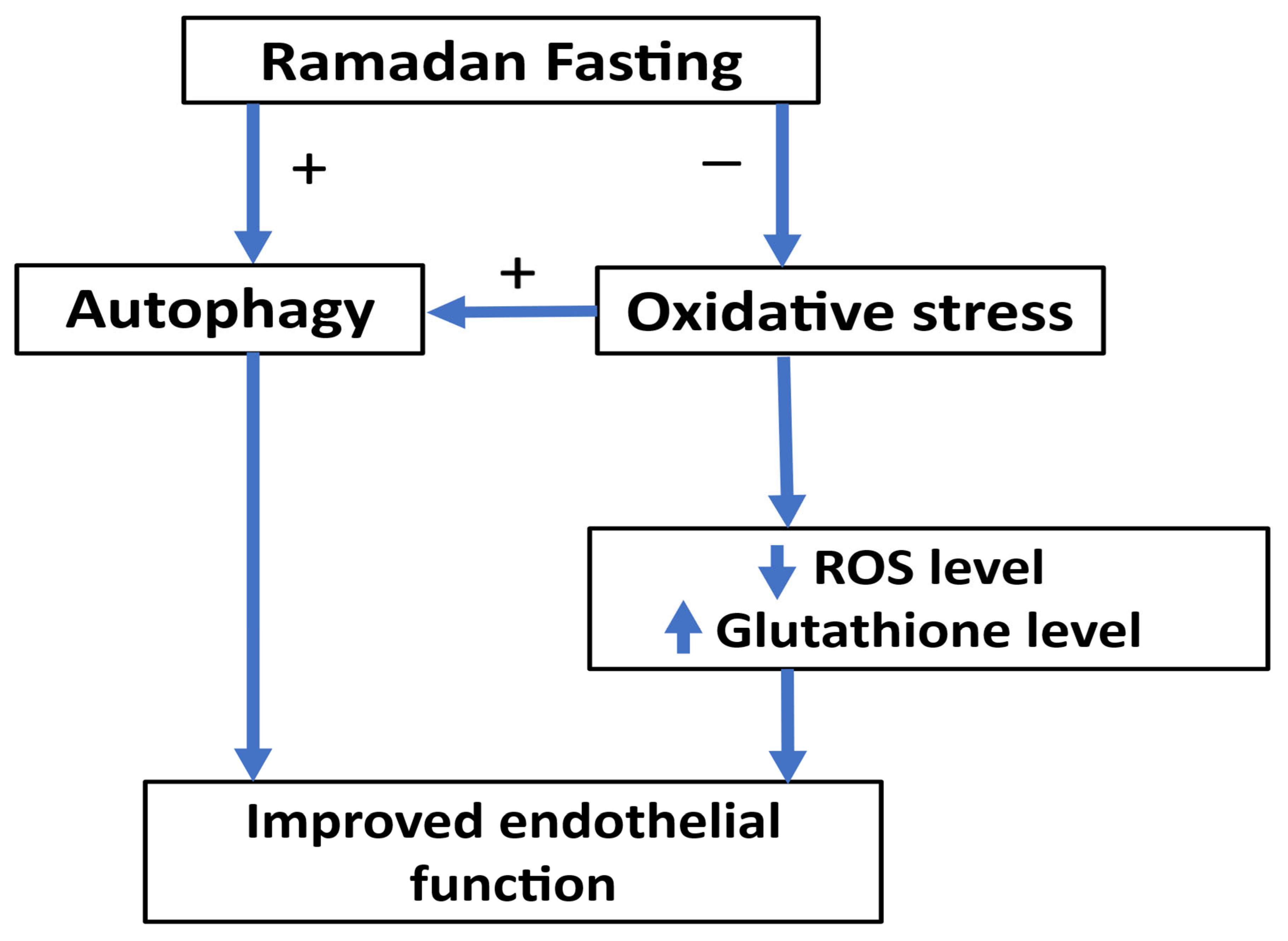 Jcm 14 06191 g002 Jcm 14 06191 g002