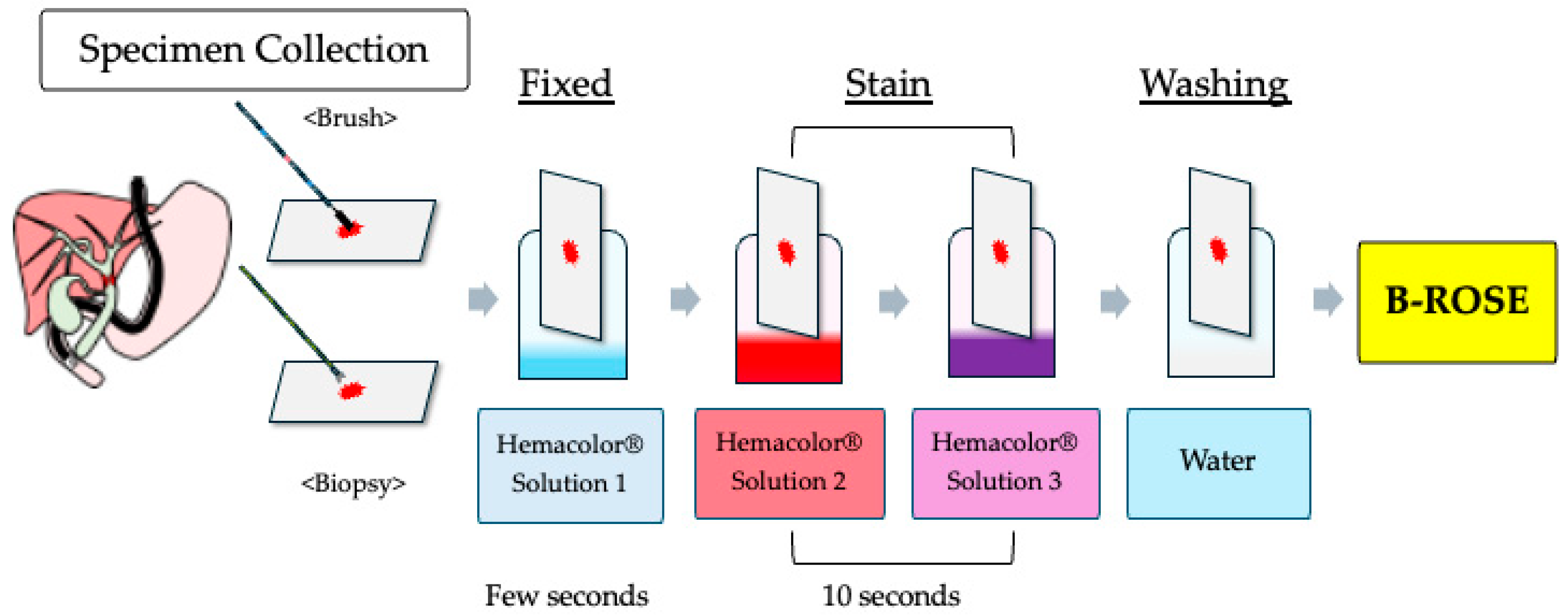 Jcm 14 06207 g001 Jcm 14 06207 g001