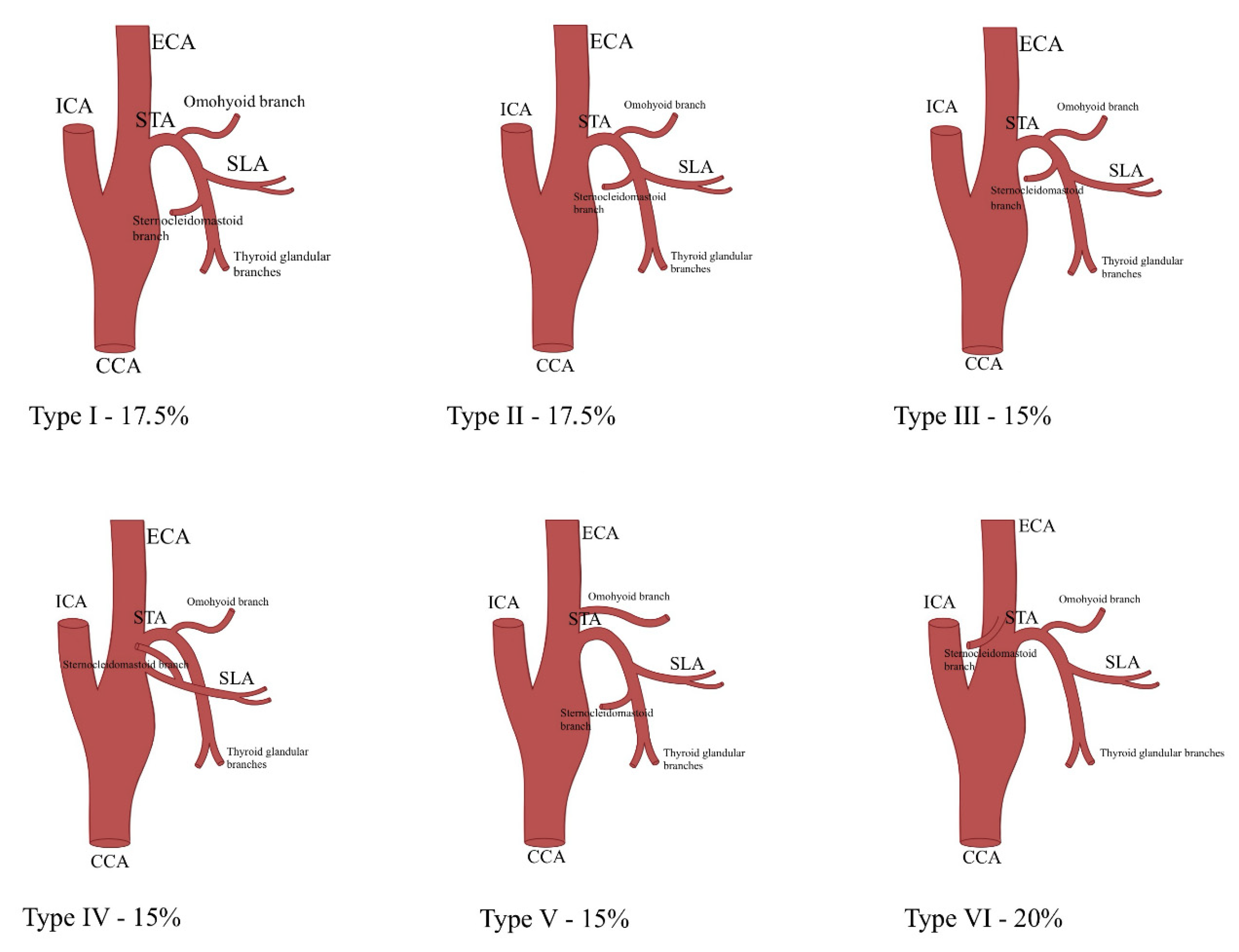 Jcm 14 06250 g002 Jcm 14 06250 g002