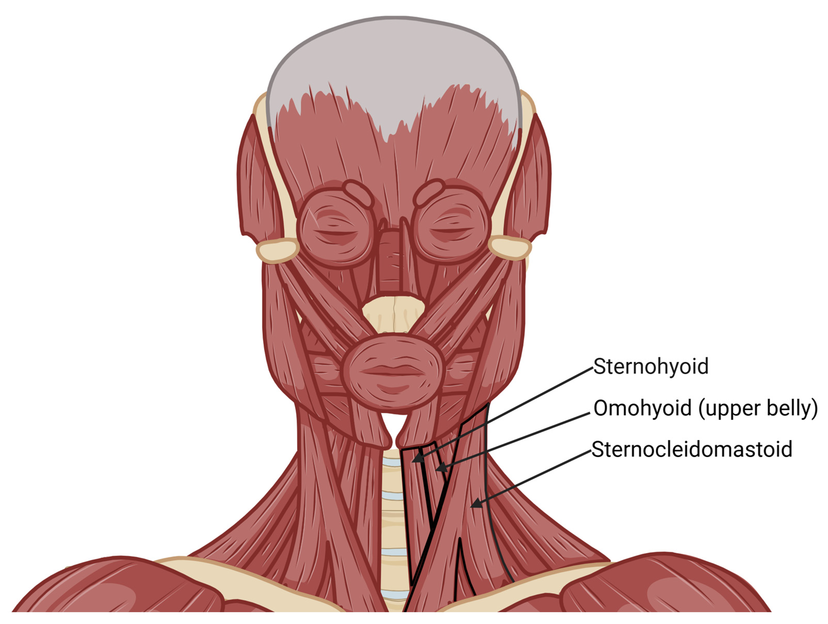 Jcm 14 06250 g003 Jcm 14 06250 g003