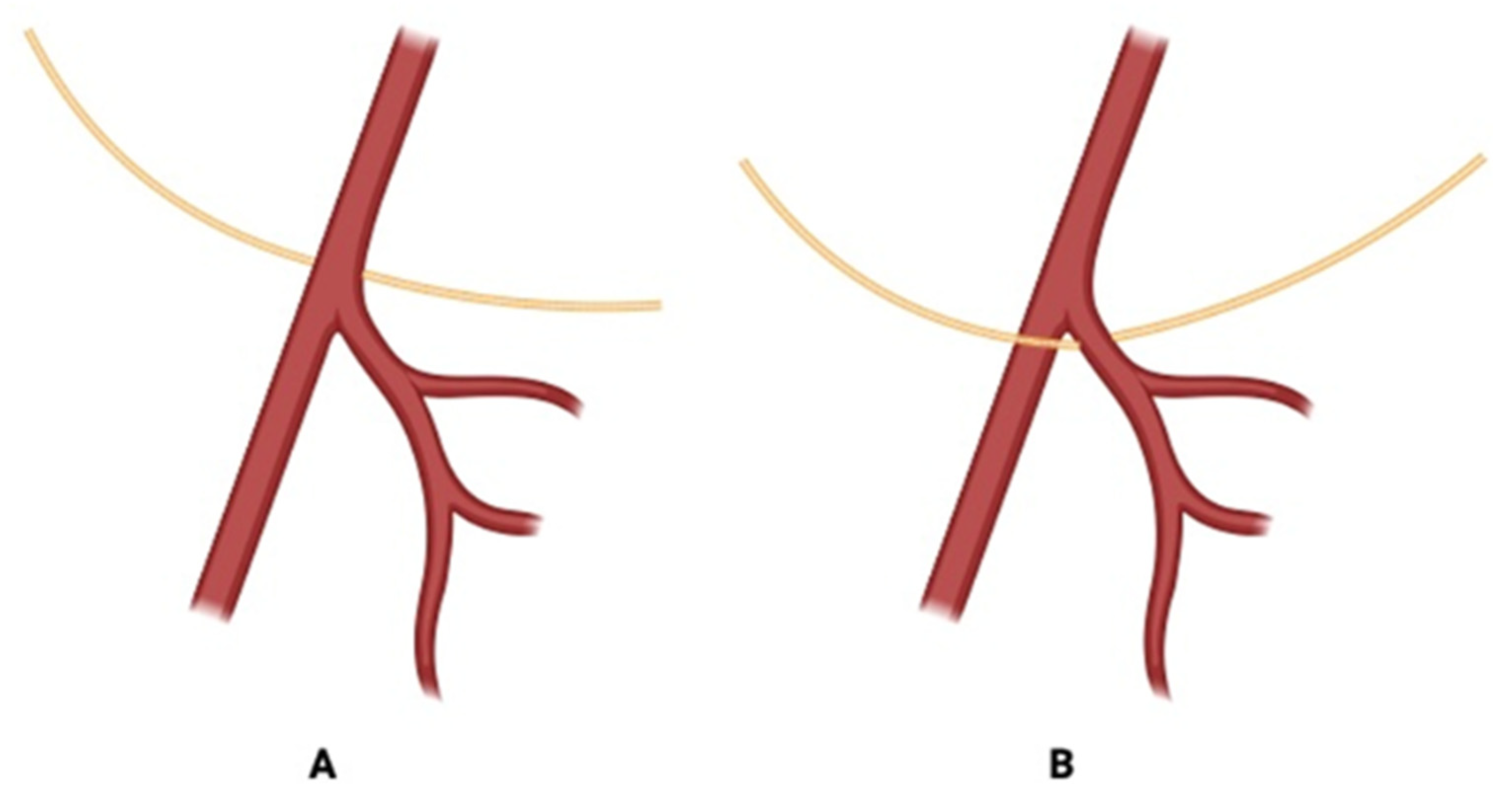 Jcm 14 06250 g005 Jcm 14 06250 g005