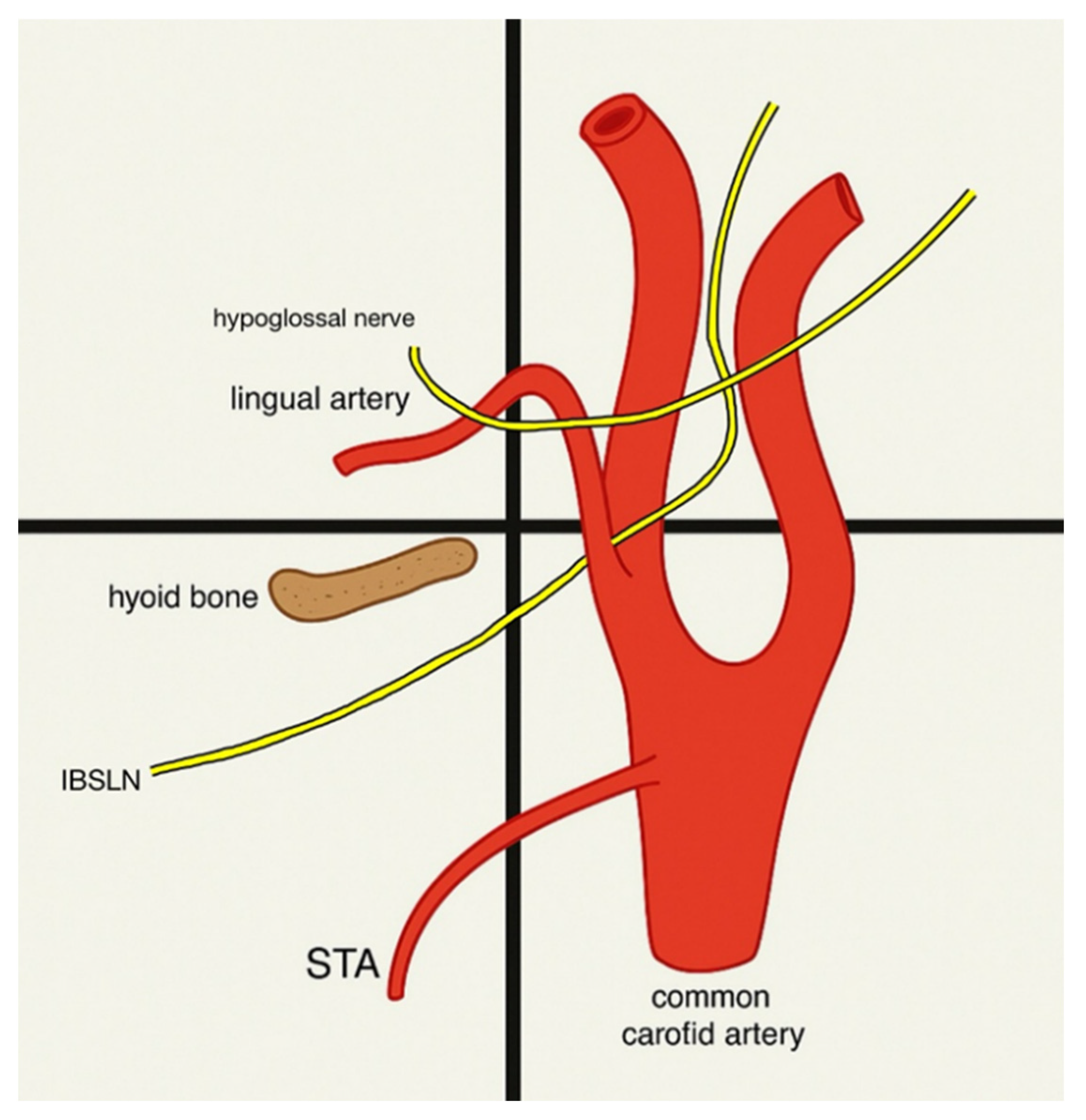 Jcm 14 06250 g006 Jcm 14 06250 g006