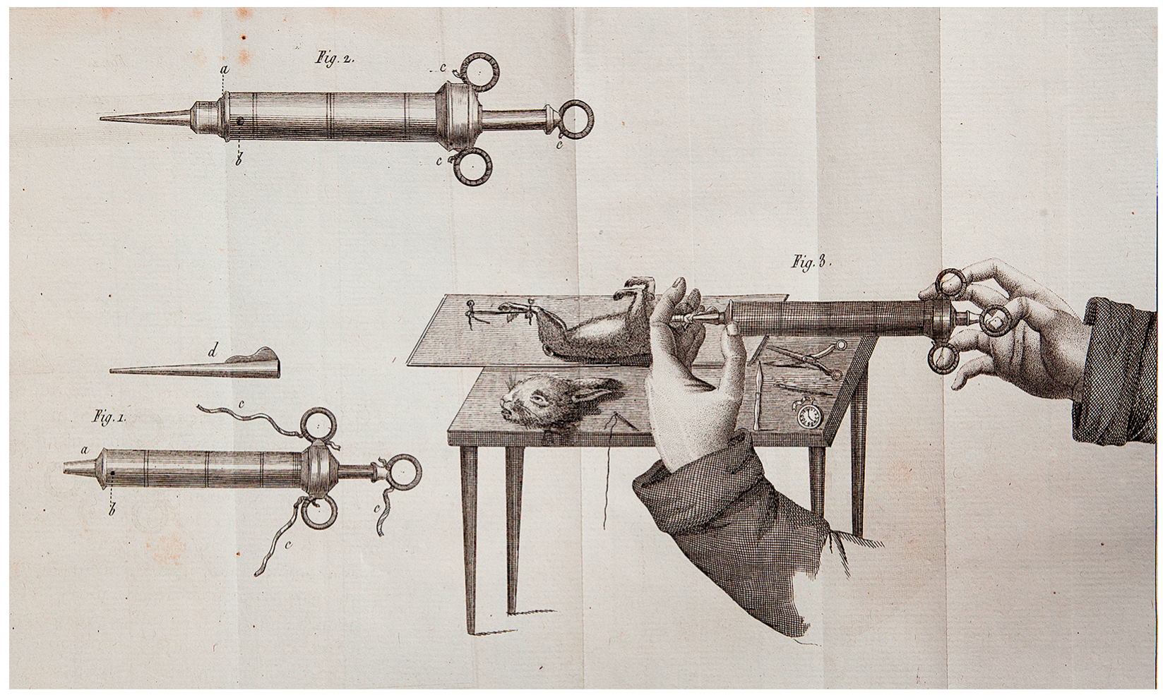 Jcm 14 06290 g001 Jcm 14 06290 g001