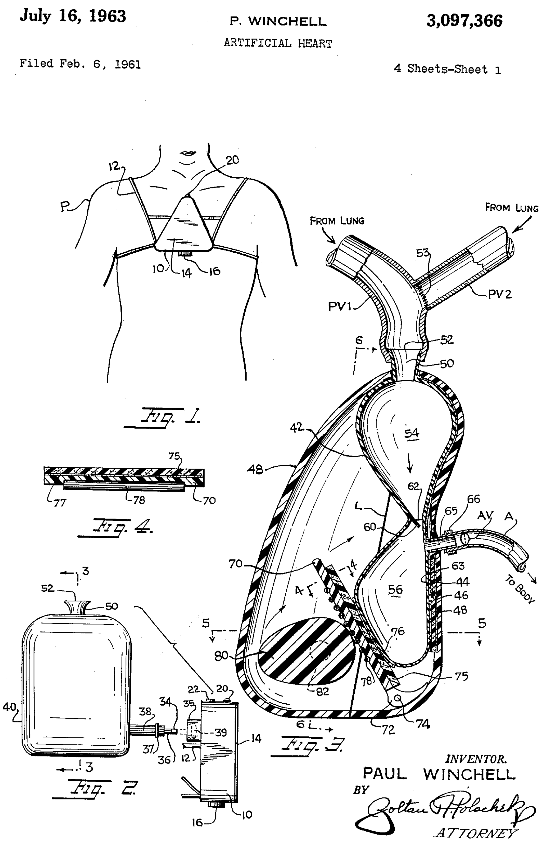 Jcm 14 06290 g002 Jcm 14 06290 g002