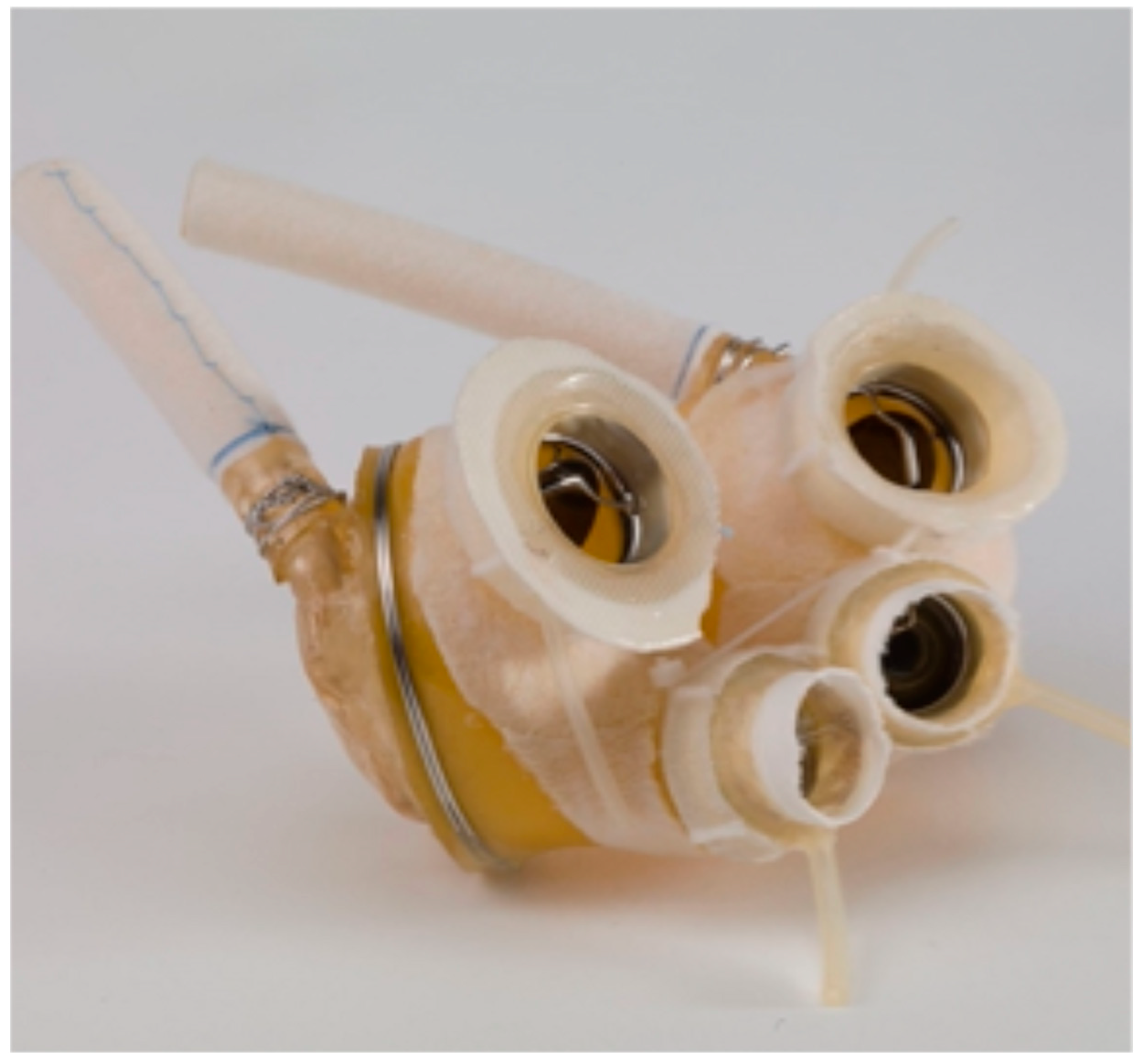 Jcm 14 06290 g004 Jcm 14 06290 g004