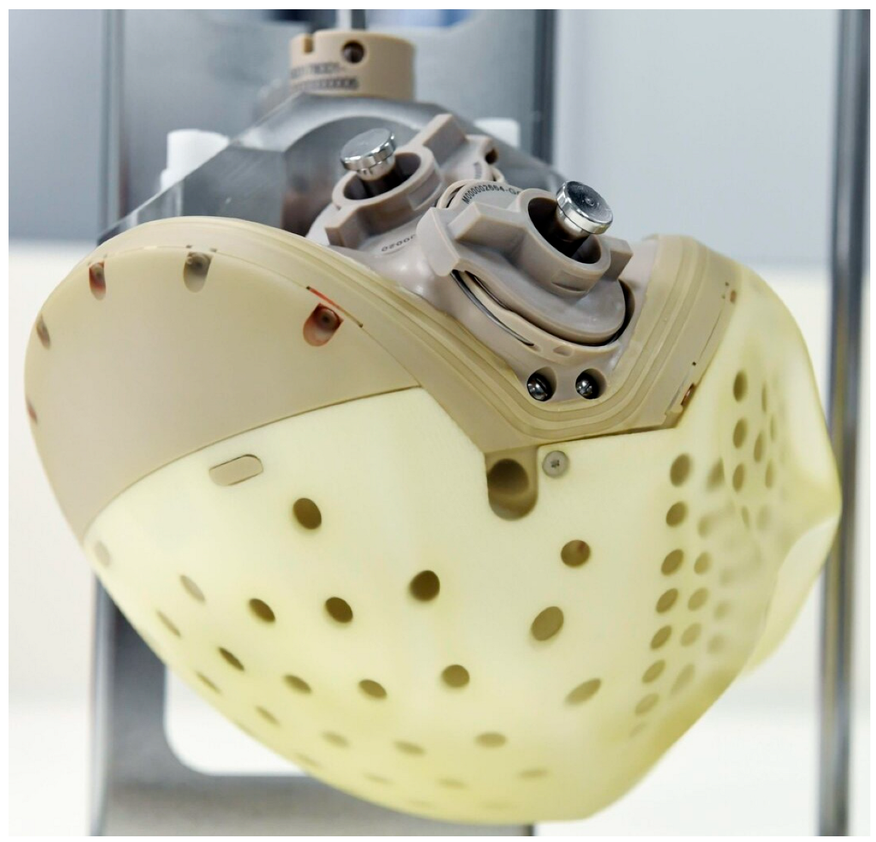 Jcm 14 06290 g006 Jcm 14 06290 g006