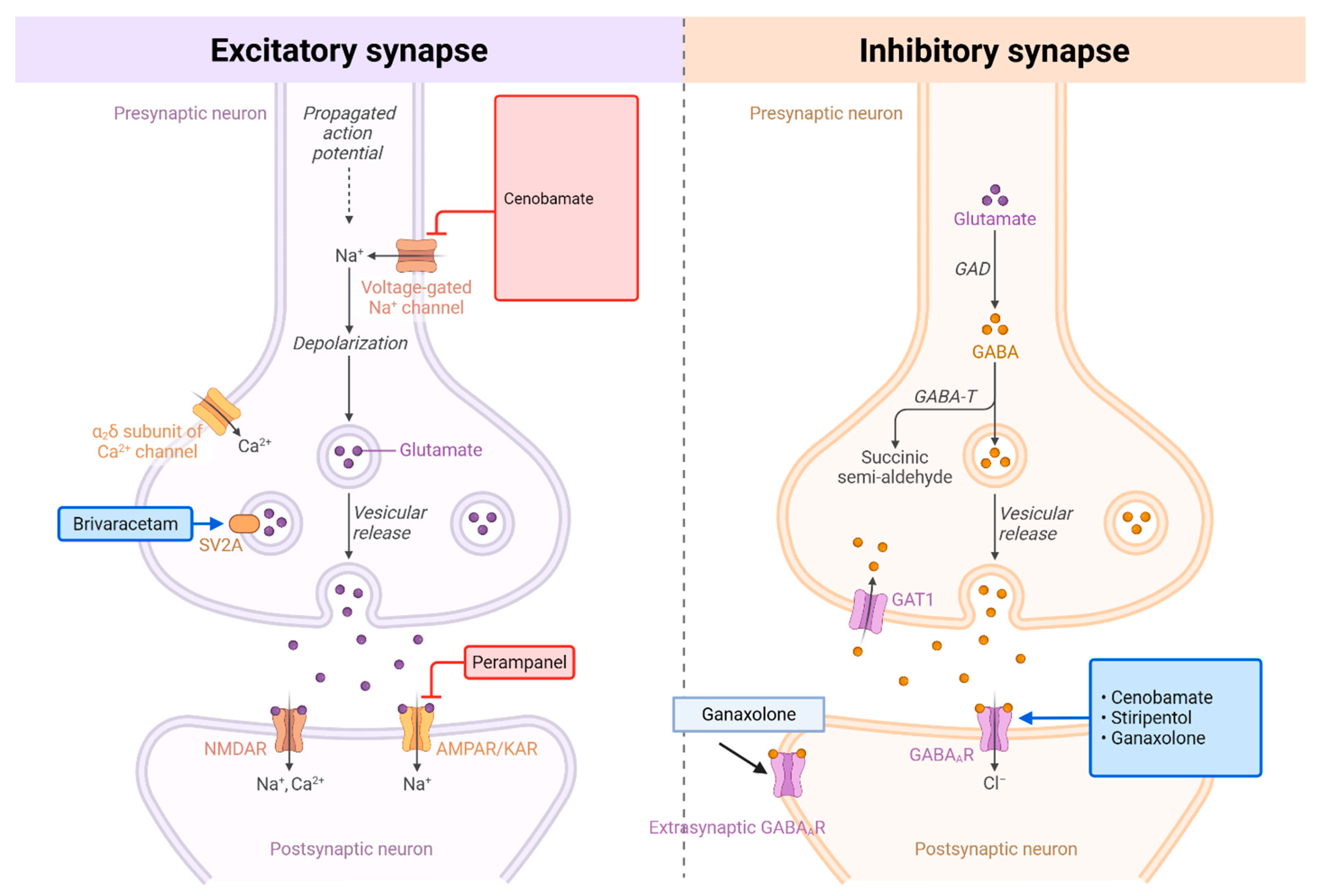 Jcm 14 06302 g001 Jcm 14 06302 g001