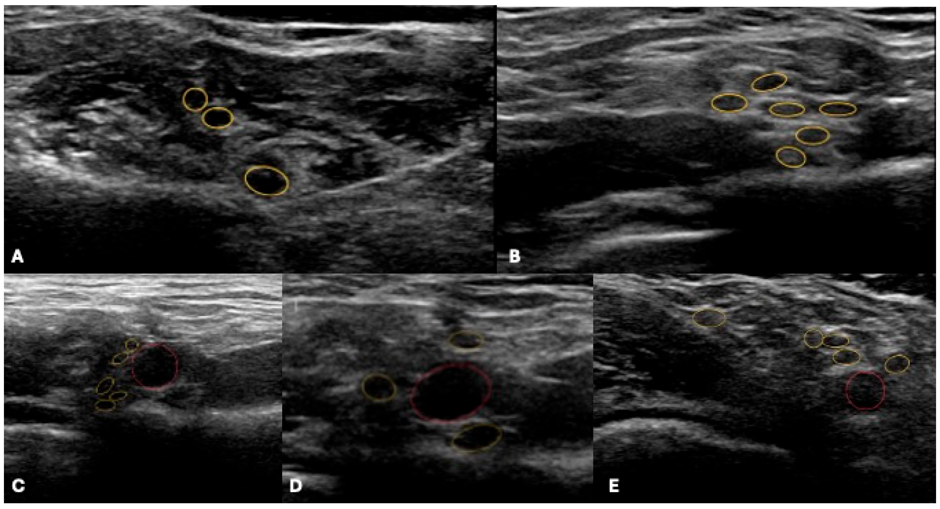 Jcm 14 06311 g001 Jcm 14 06311 g001