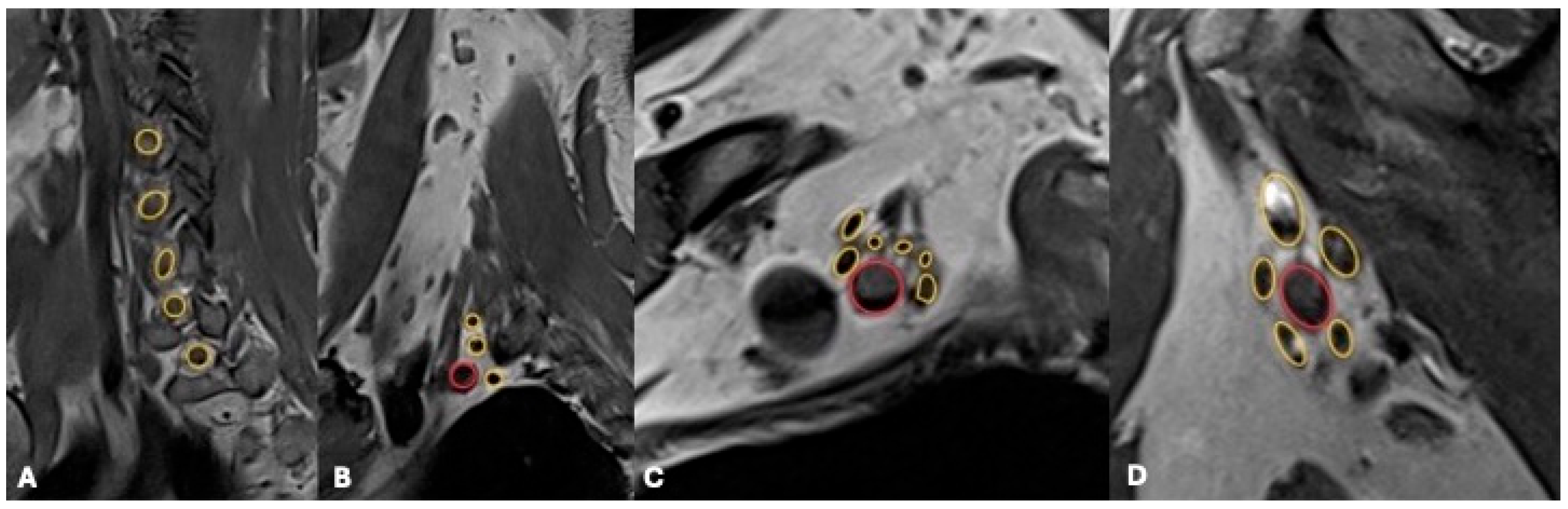 Jcm 14 06311 g002 Jcm 14 06311 g002