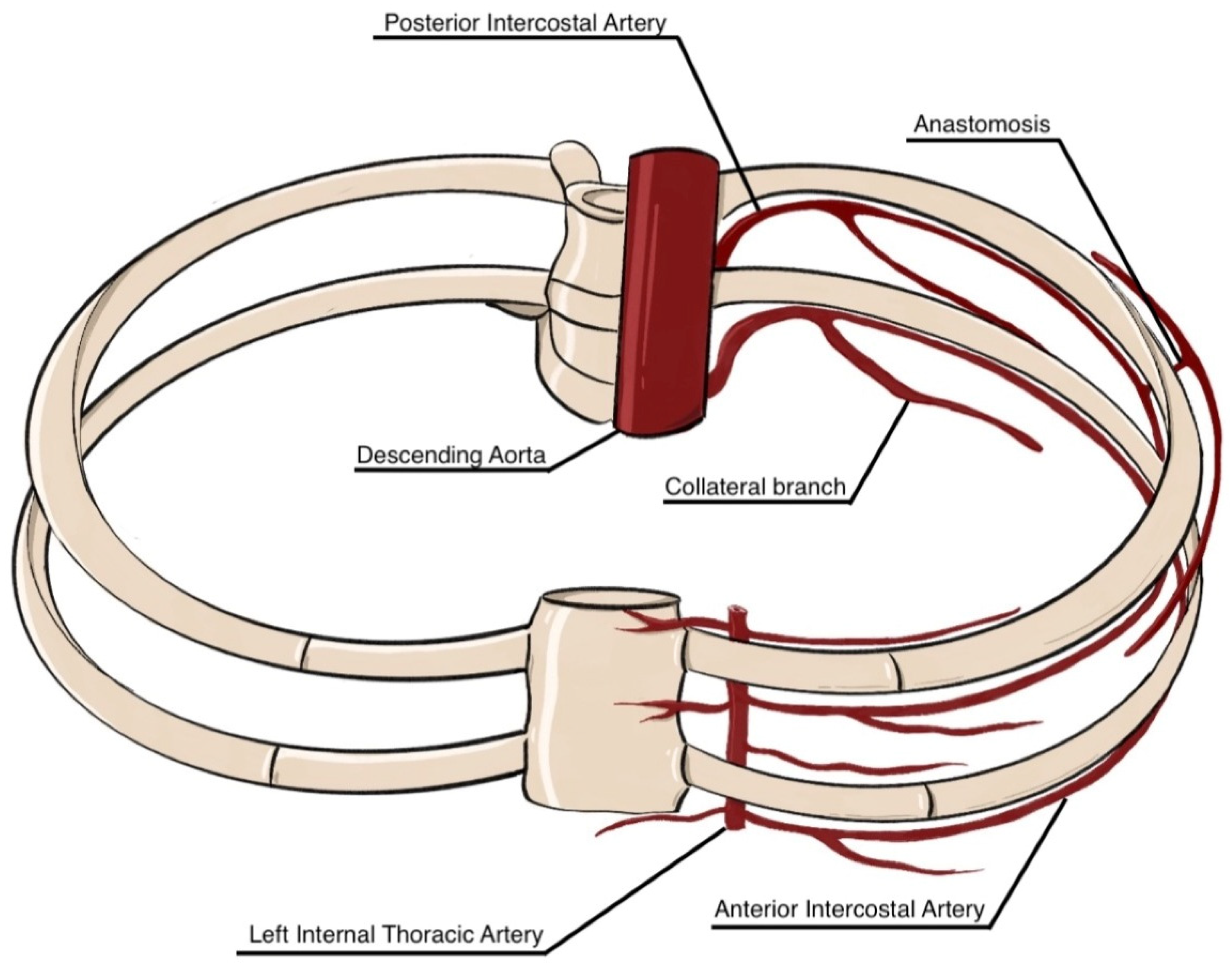 Jcm 14 06326 g001 Jcm 14 06326 g001