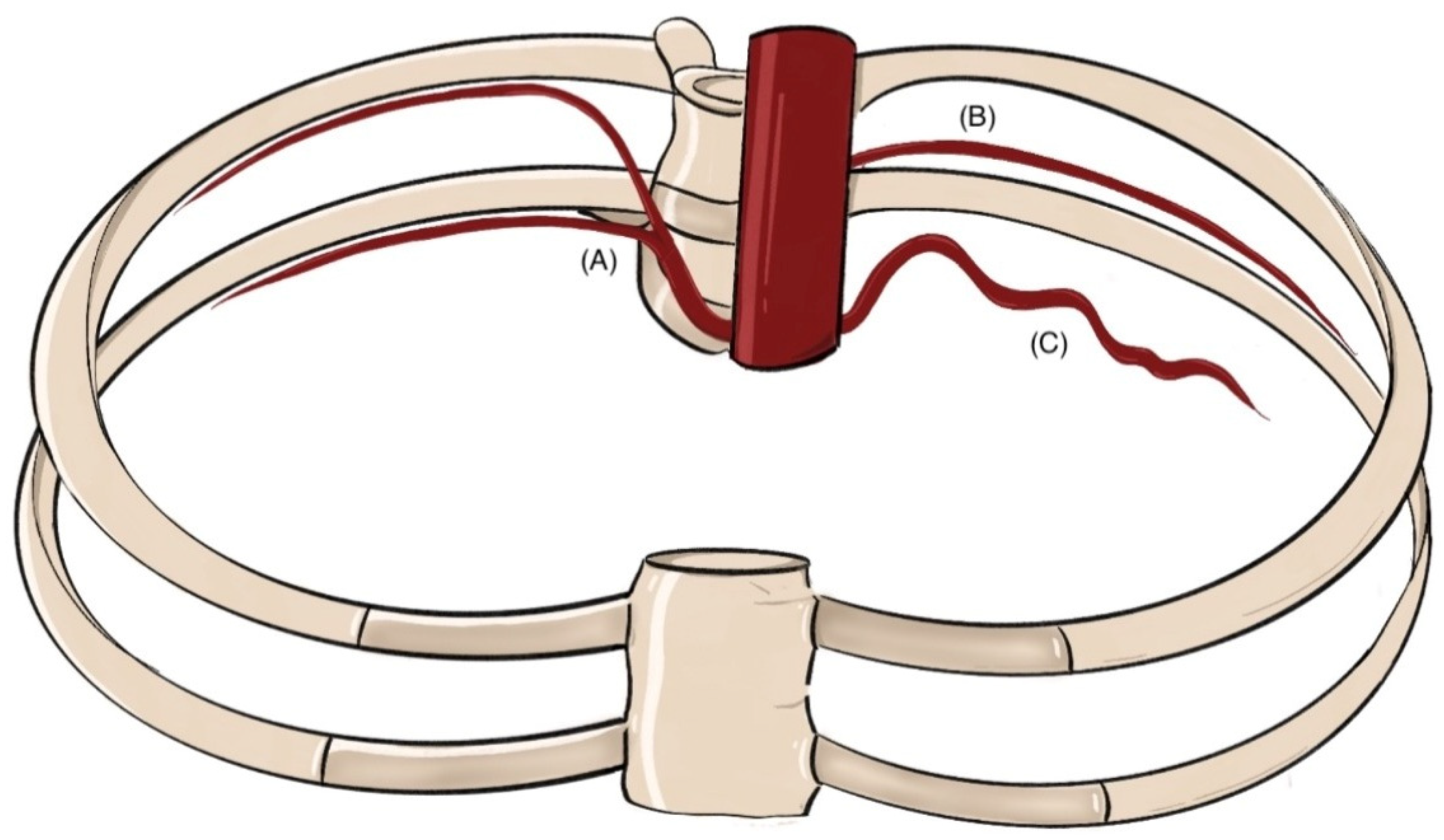 Jcm 14 06326 g002 Jcm 14 06326 g002