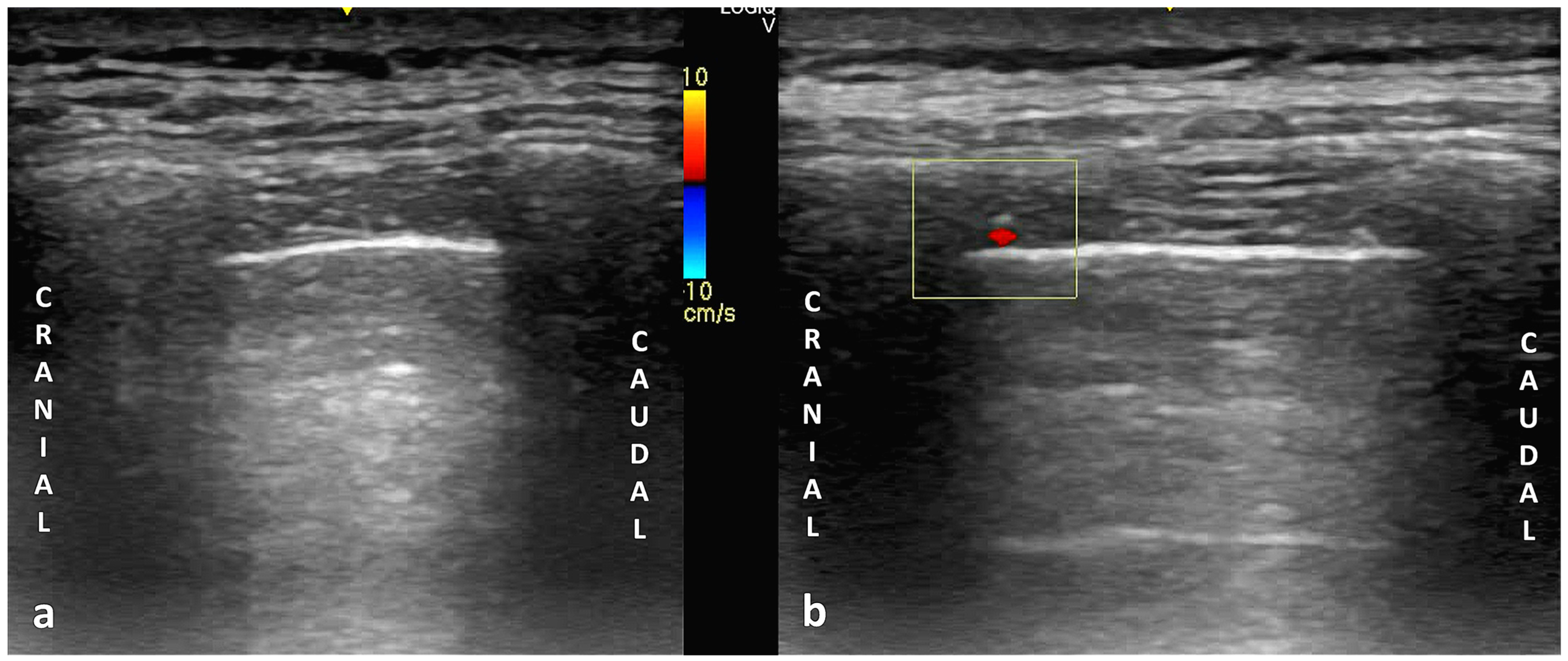 Jcm 14 06326 g009 Jcm 14 06326 g009