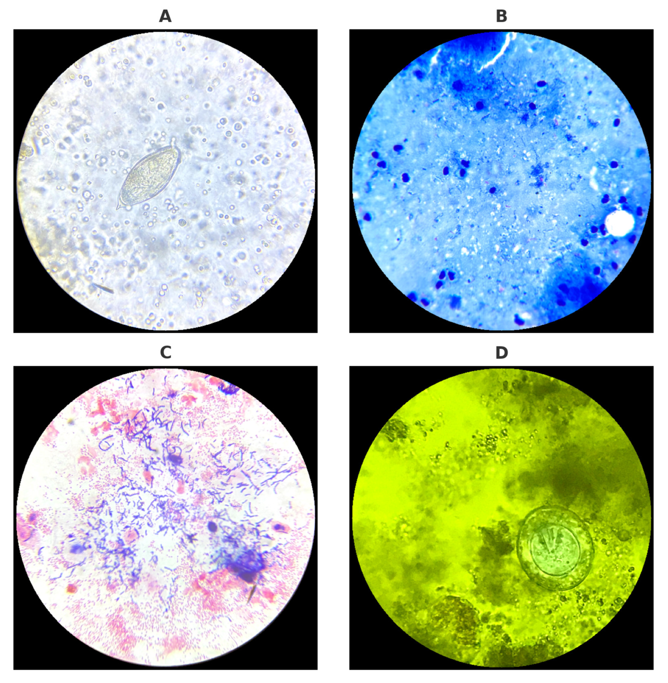 Jcm 14 06329 g002 Jcm 14 06329 g002