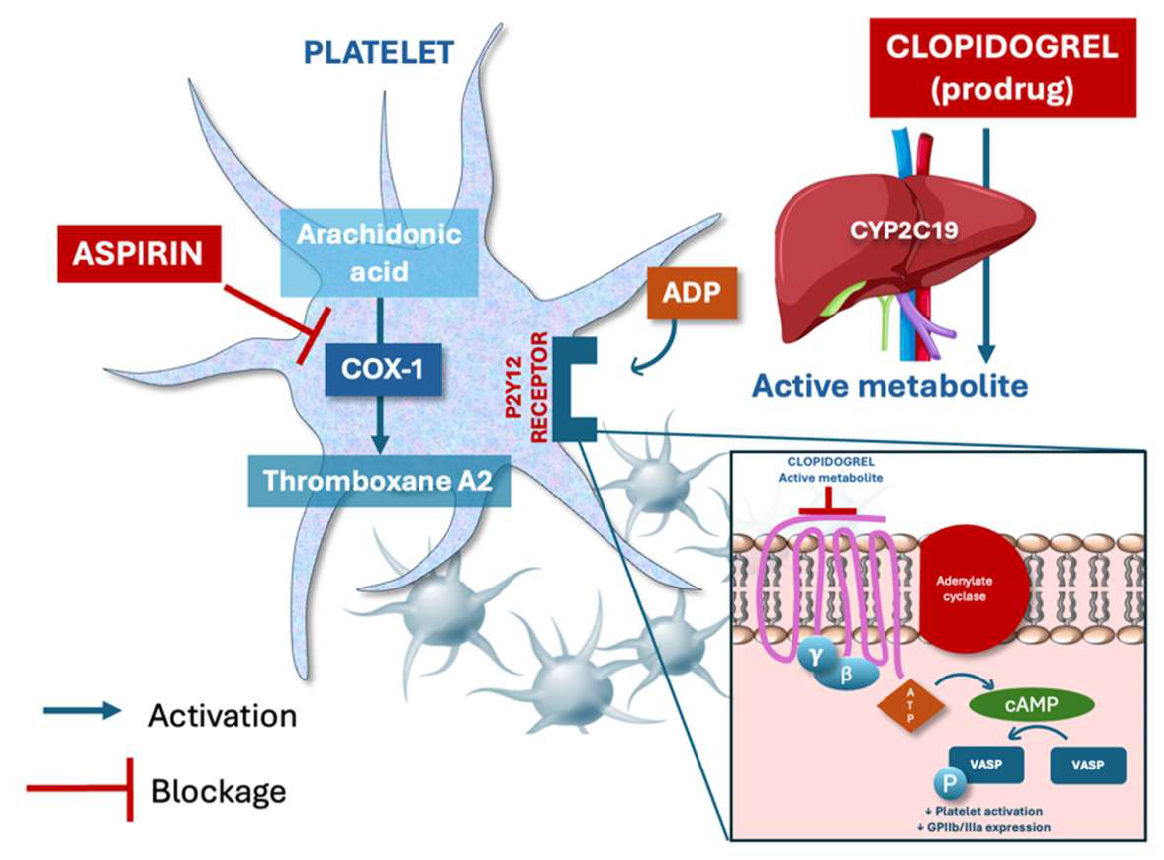 Jcm 14 06331 g002 Jcm 14 06331 g002