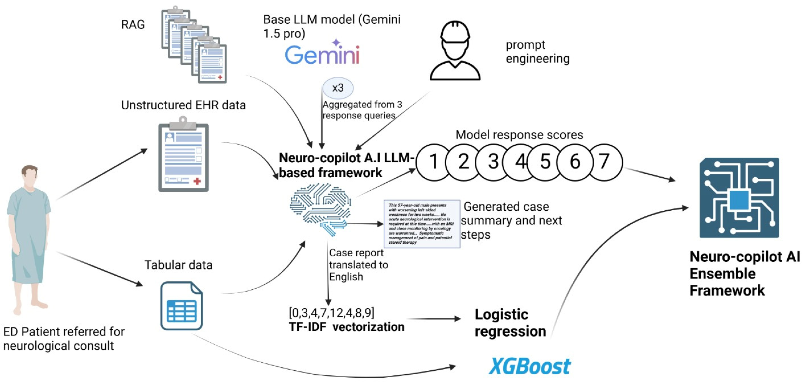 Jcm 14 06333 g002 Jcm 14 06333 g002