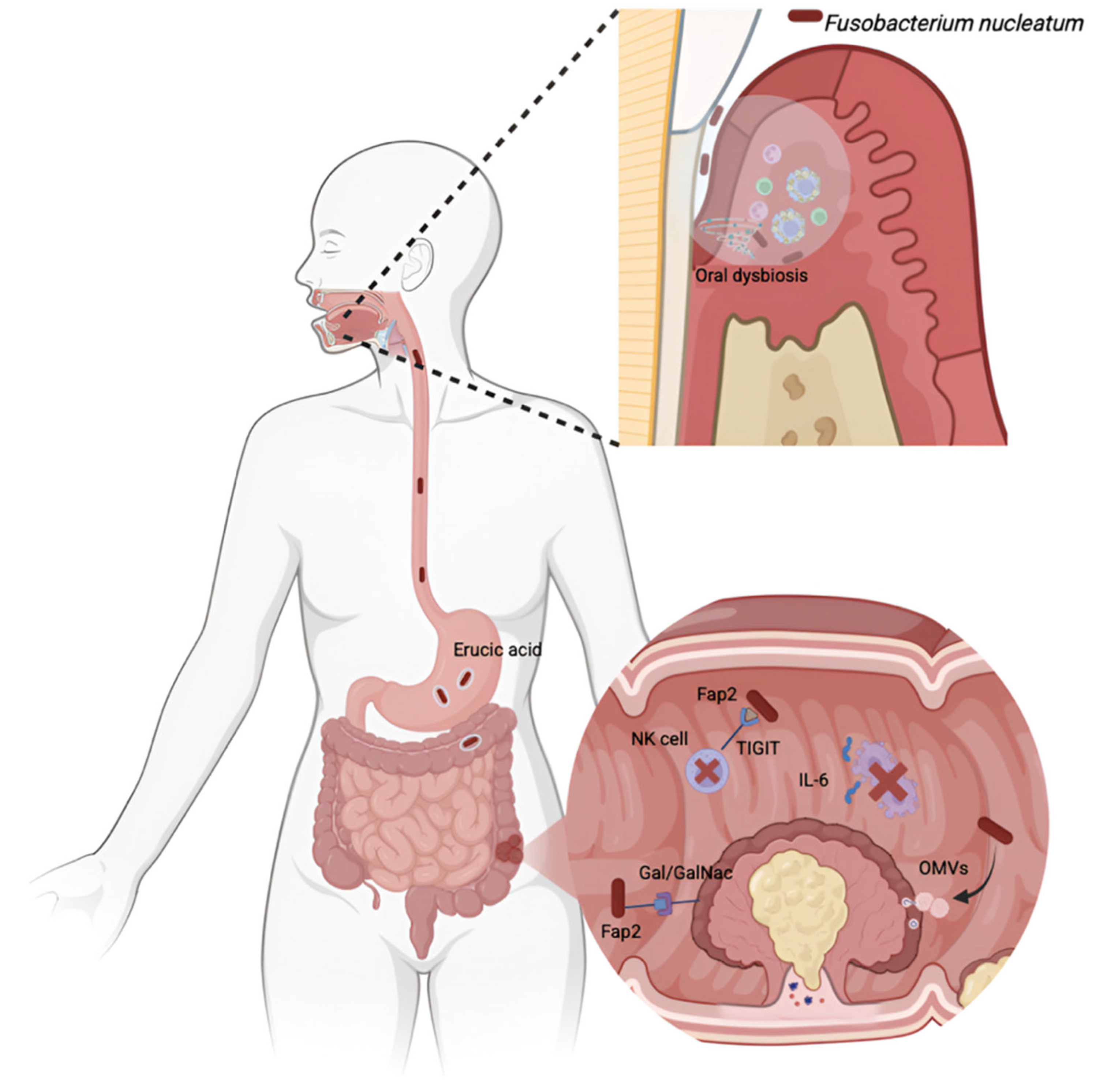 Jcm 14 06334 g001 Jcm 14 06334 g001