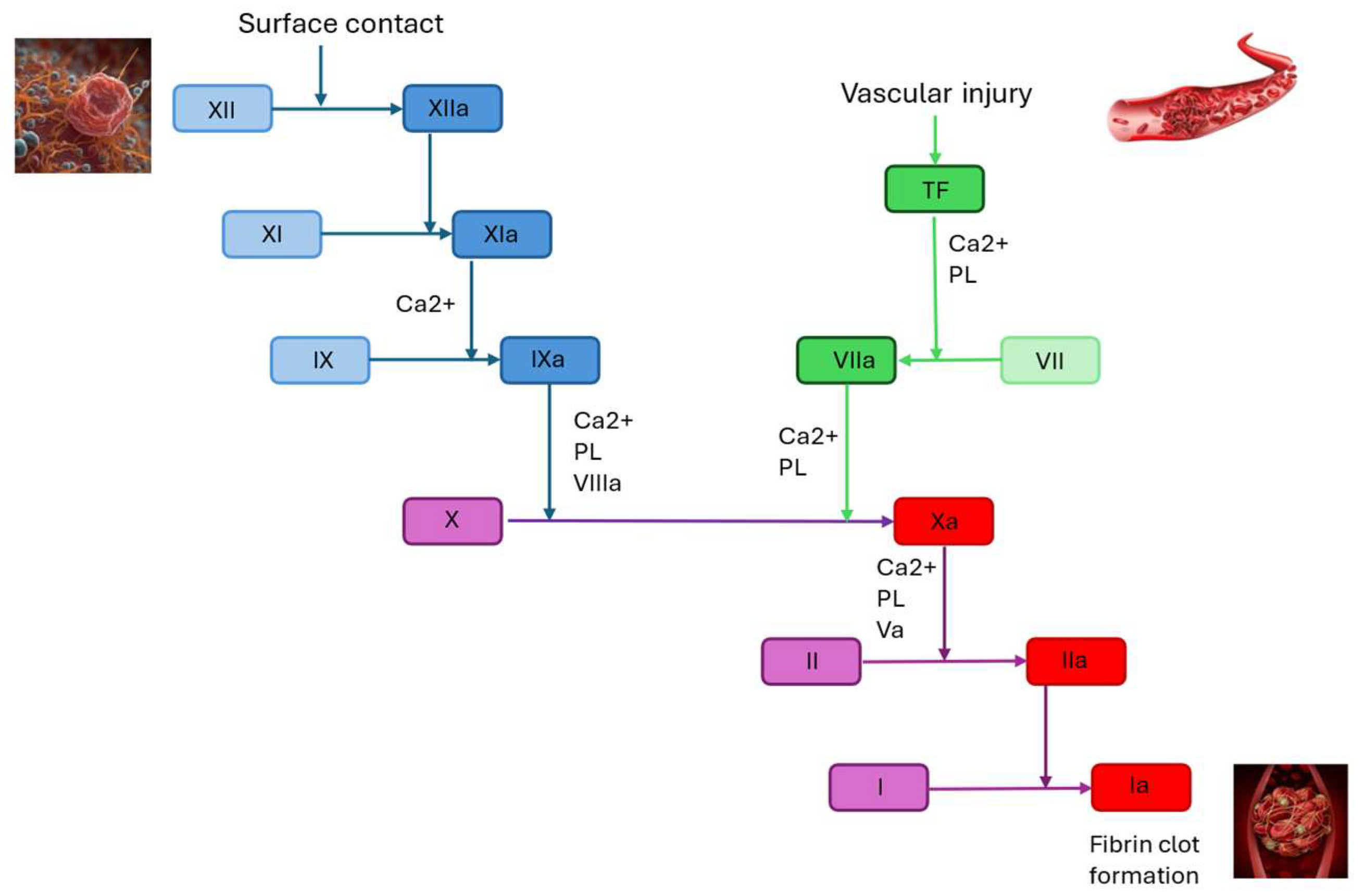 Jcm 14 06341 g001 Jcm 14 06341 g001