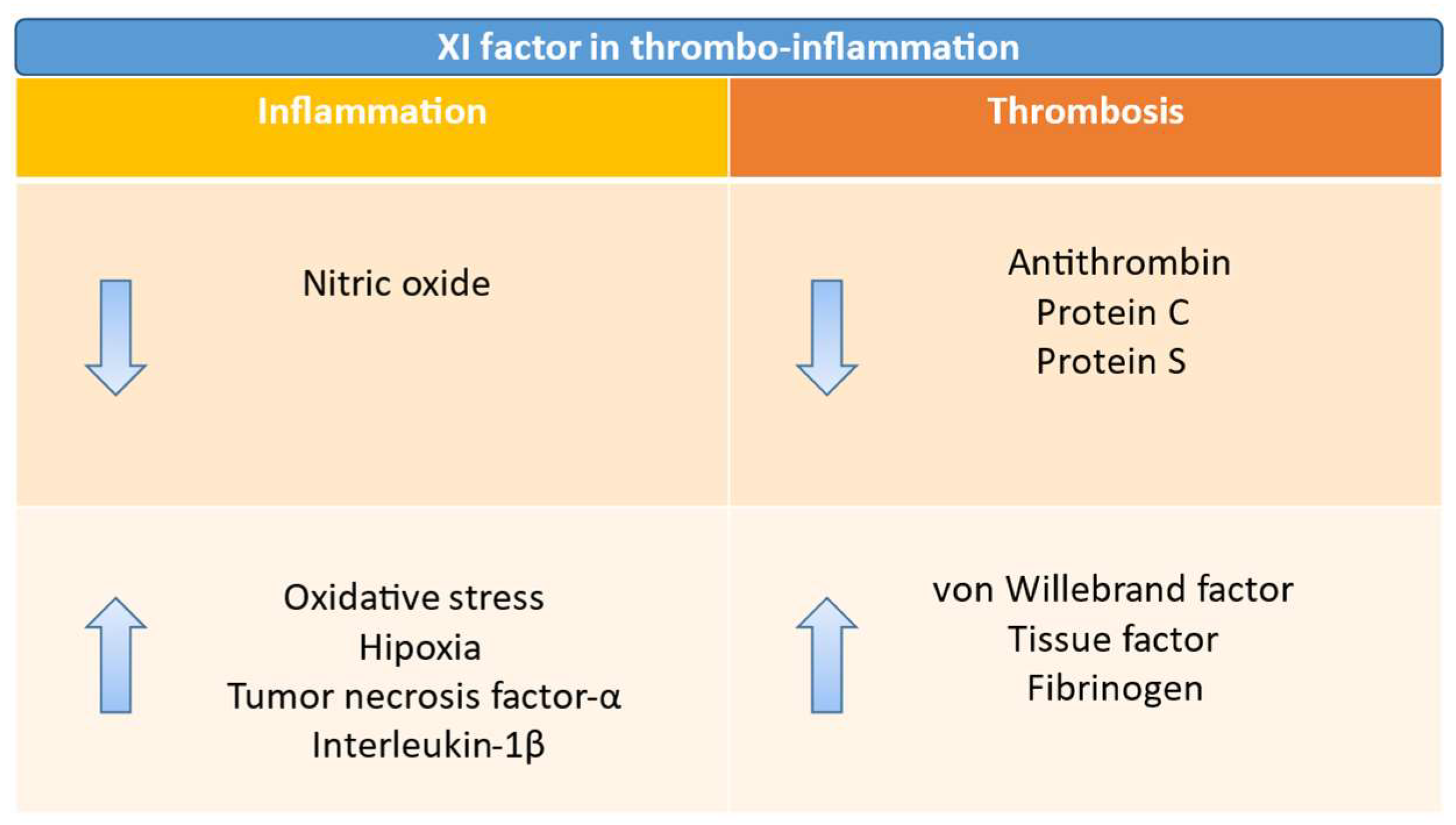 Jcm 14 06341 g002 Jcm 14 06341 g002